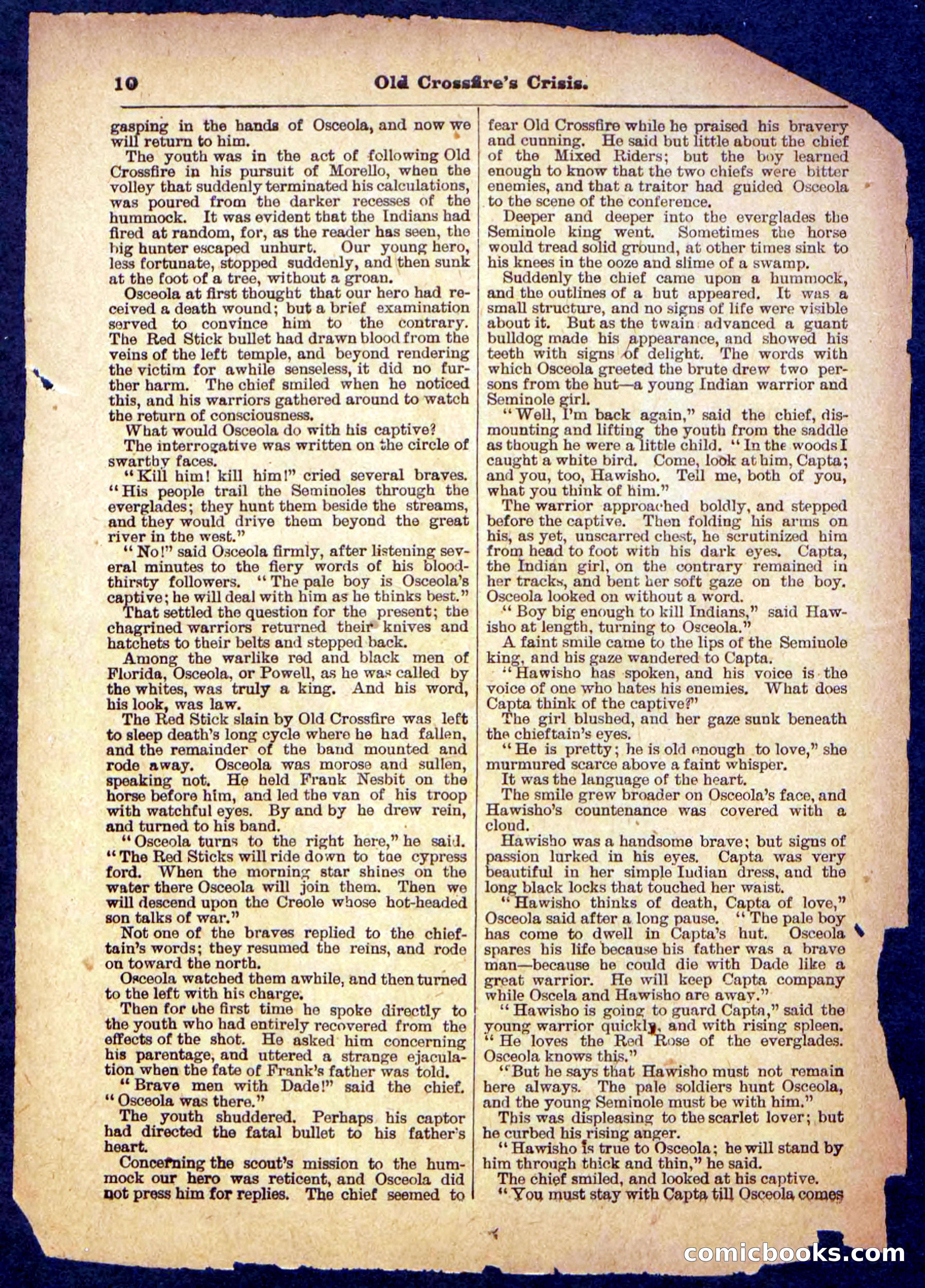 Beadle's Pocket Library No. 489: Old Crossfire's Crisis — page 10 of 32