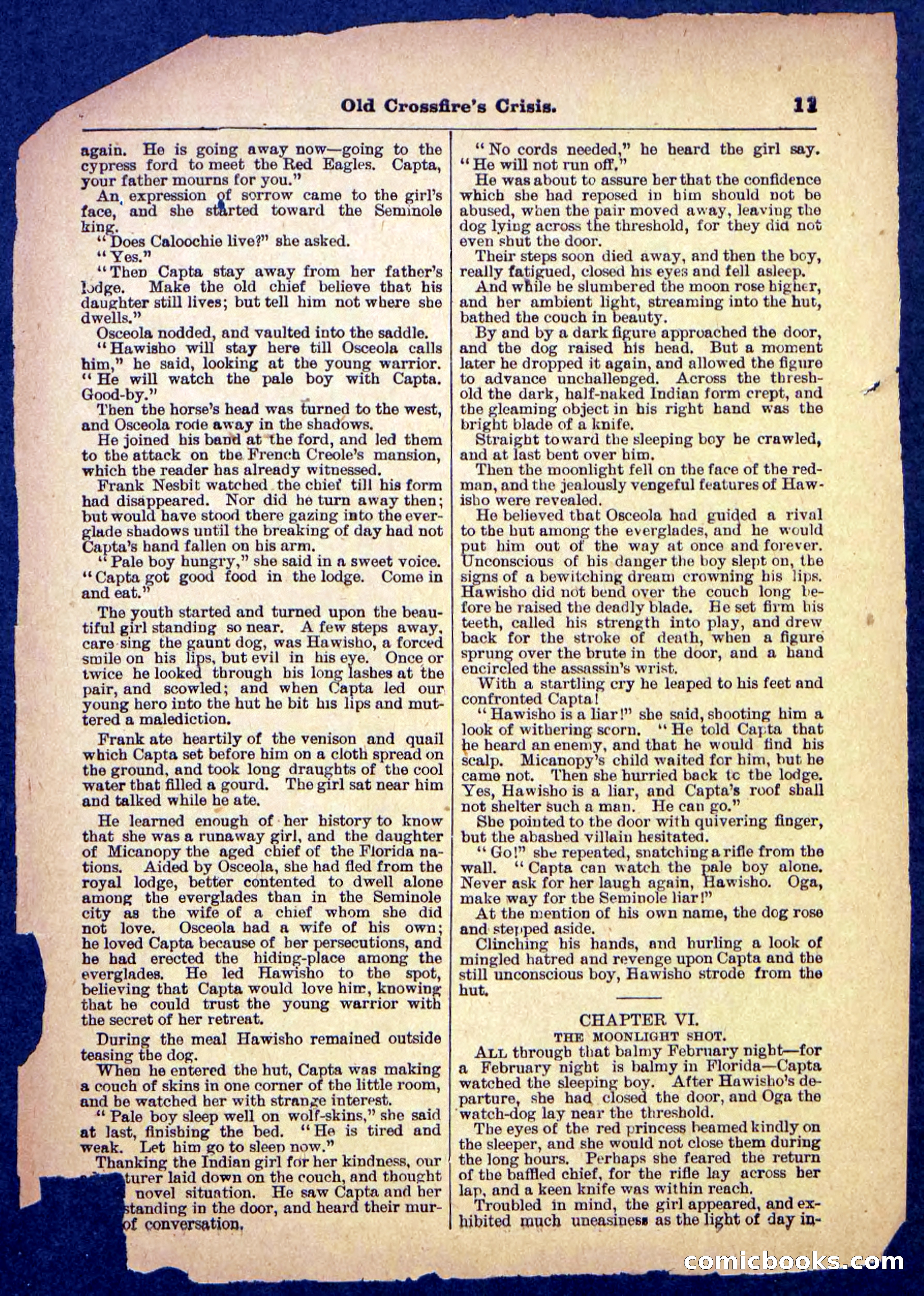 Beadle's Pocket Library No. 489: Old Crossfire's Crisis — page 11 of 32