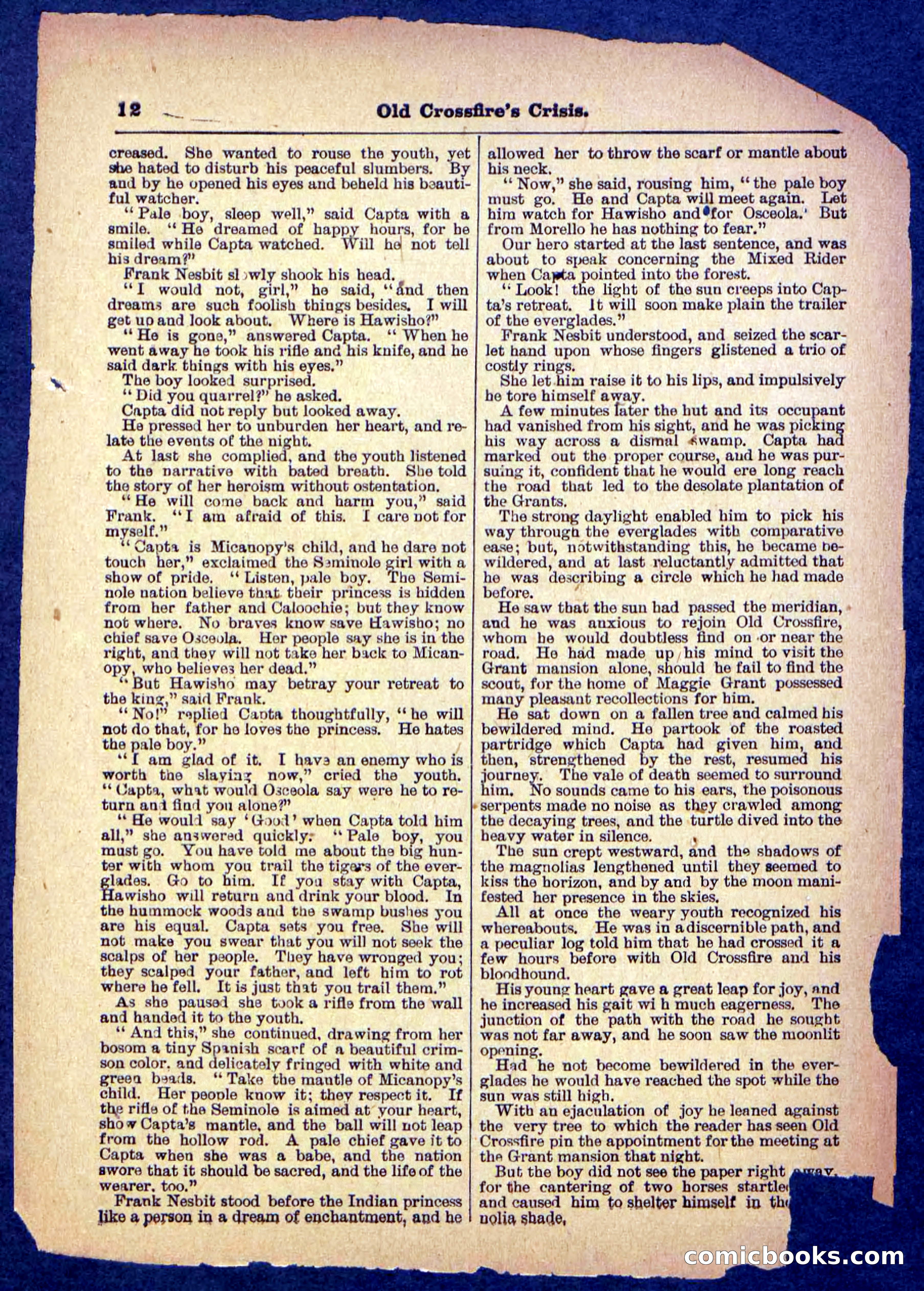 Beadle's Pocket Library No. 489: Old Crossfire's Crisis — page 12 of 32