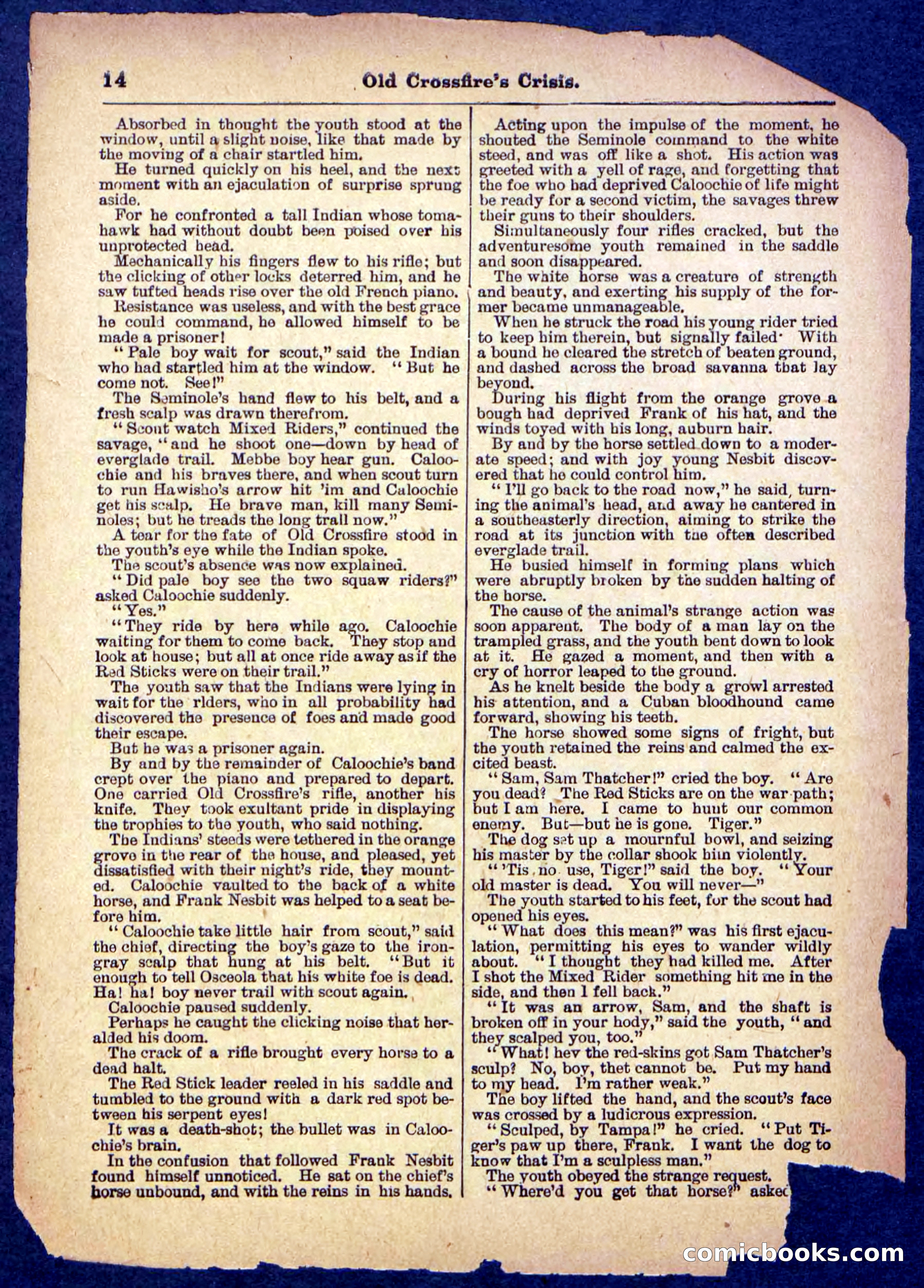 Beadle's Pocket Library No. 489: Old Crossfire's Crisis — page 14 of 32