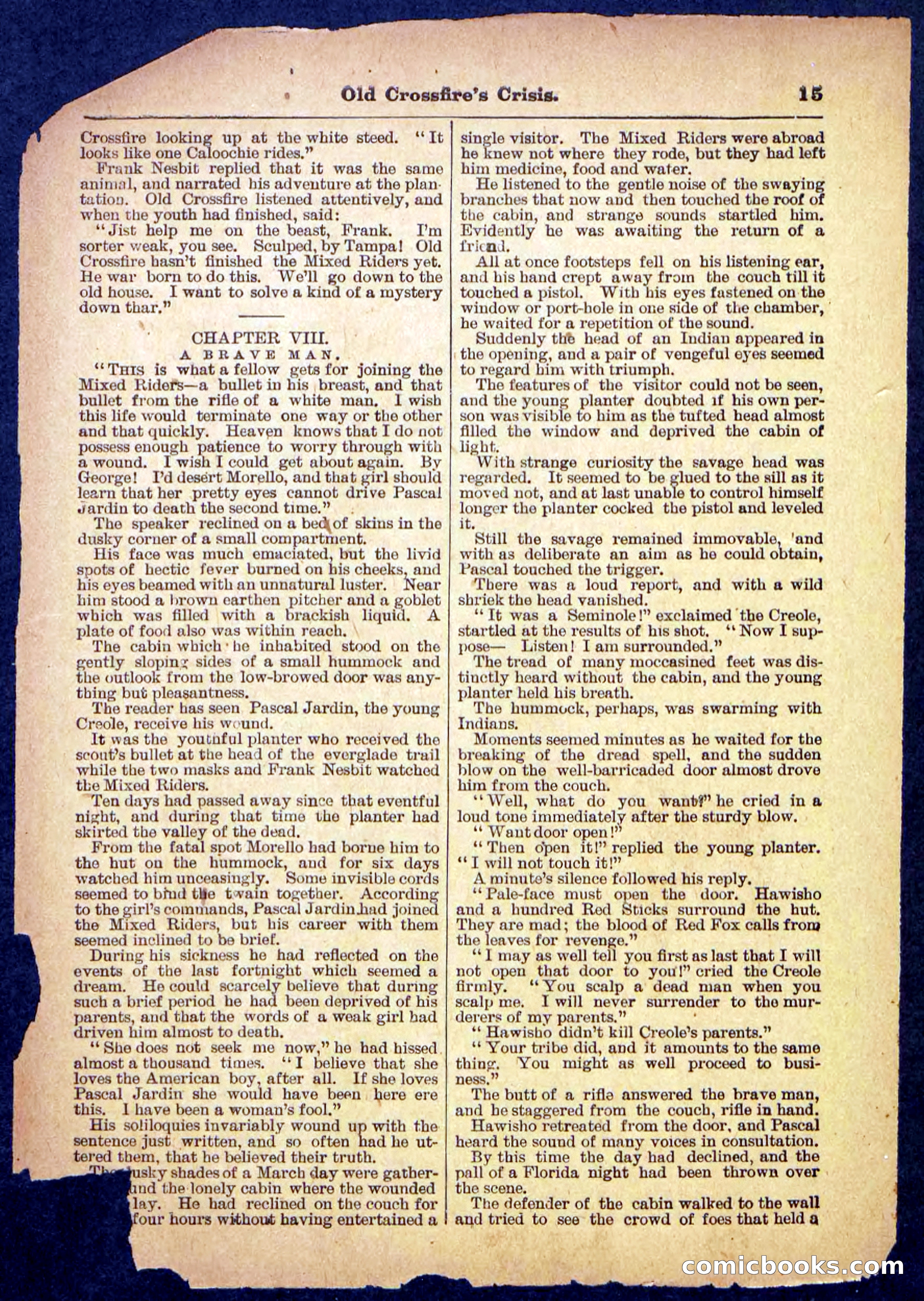 Beadle's Pocket Library No. 489: Old Crossfire's Crisis — page 15 of 32