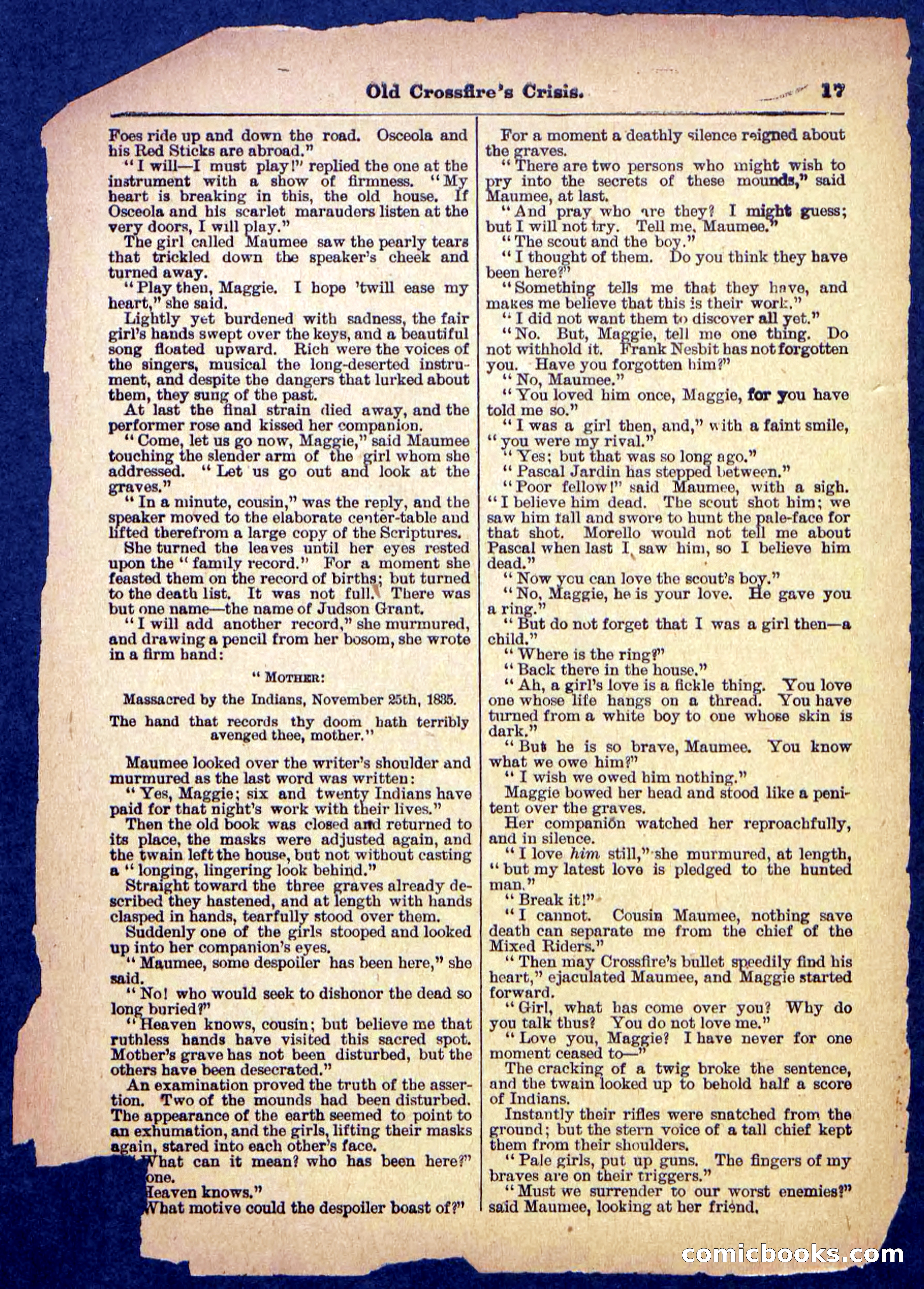 Beadle's Pocket Library No. 489: Old Crossfire's Crisis — page 17 of 32