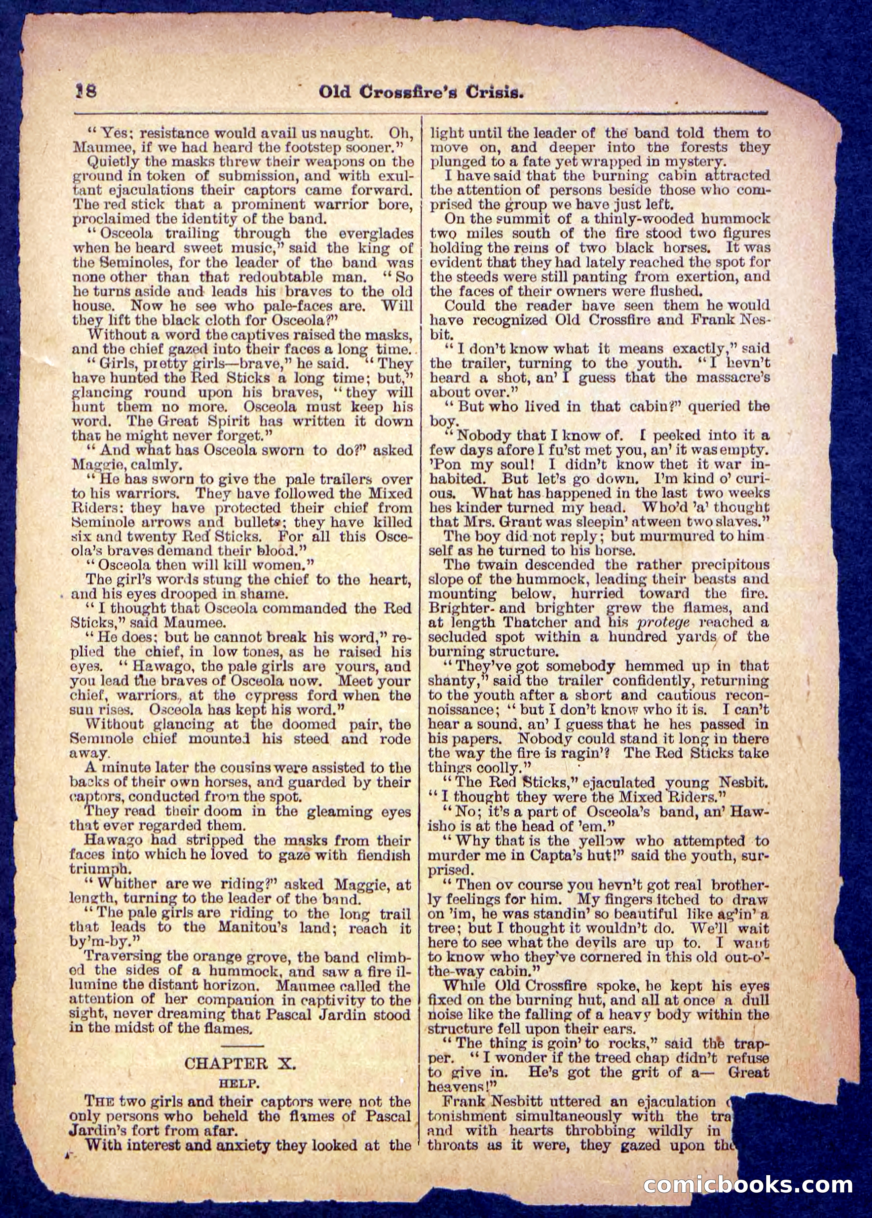 Beadle's Pocket Library No. 489: Old Crossfire's Crisis — page 18 of 32