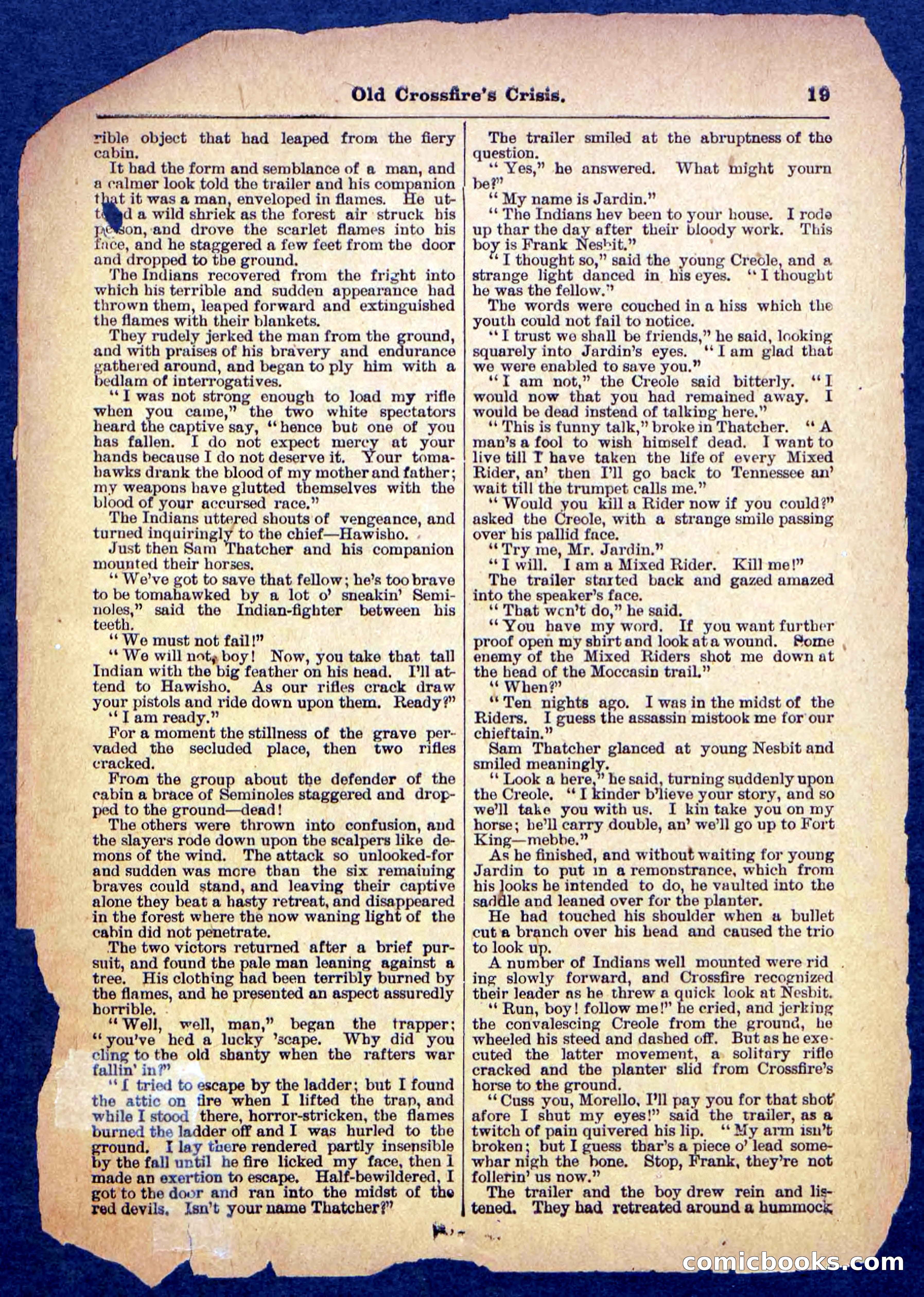 Beadle's Pocket Library No. 489: Old Crossfire's Crisis — page 19 of 32