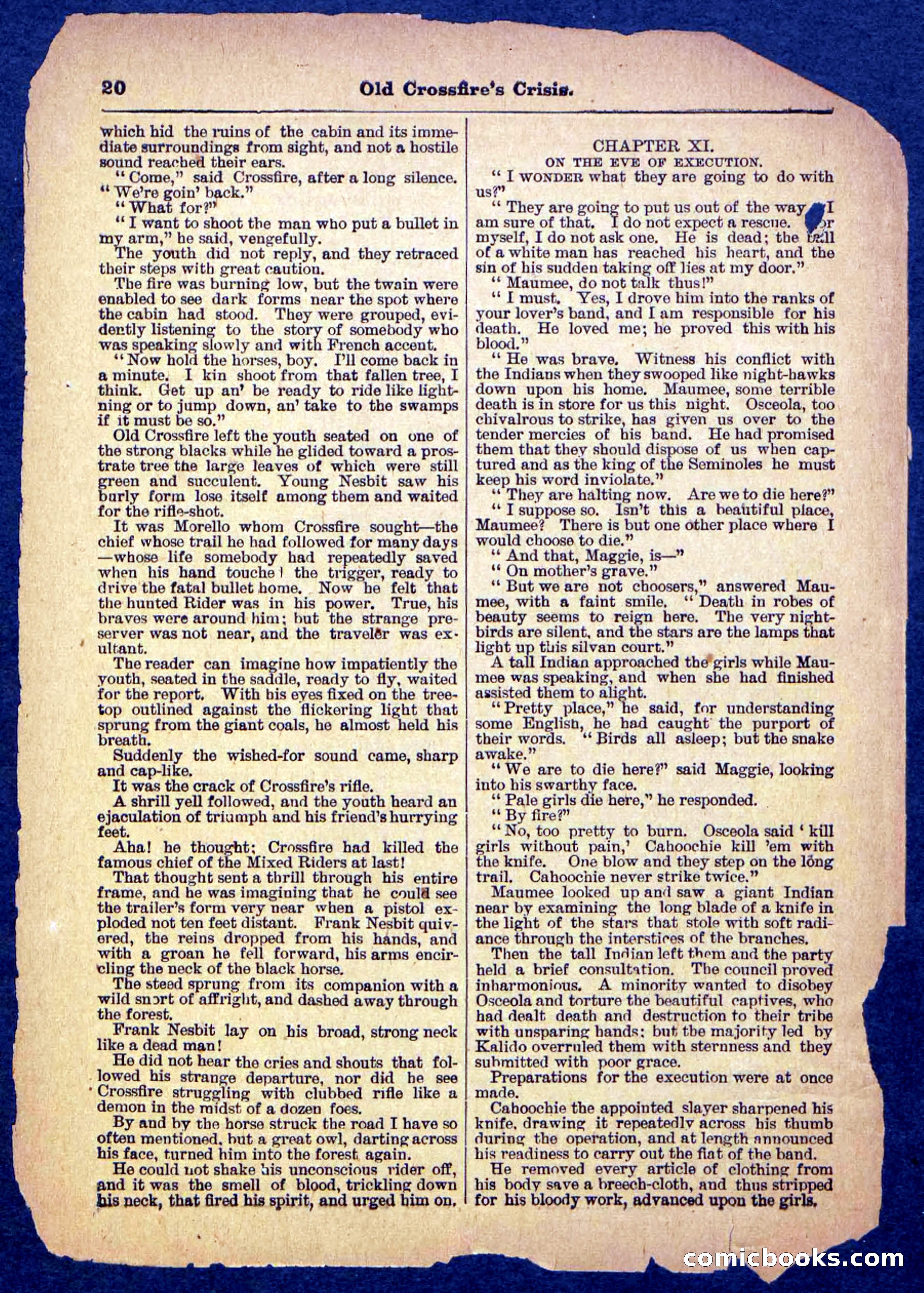 Beadle's Pocket Library No. 489: Old Crossfire's Crisis — page 20 of 32