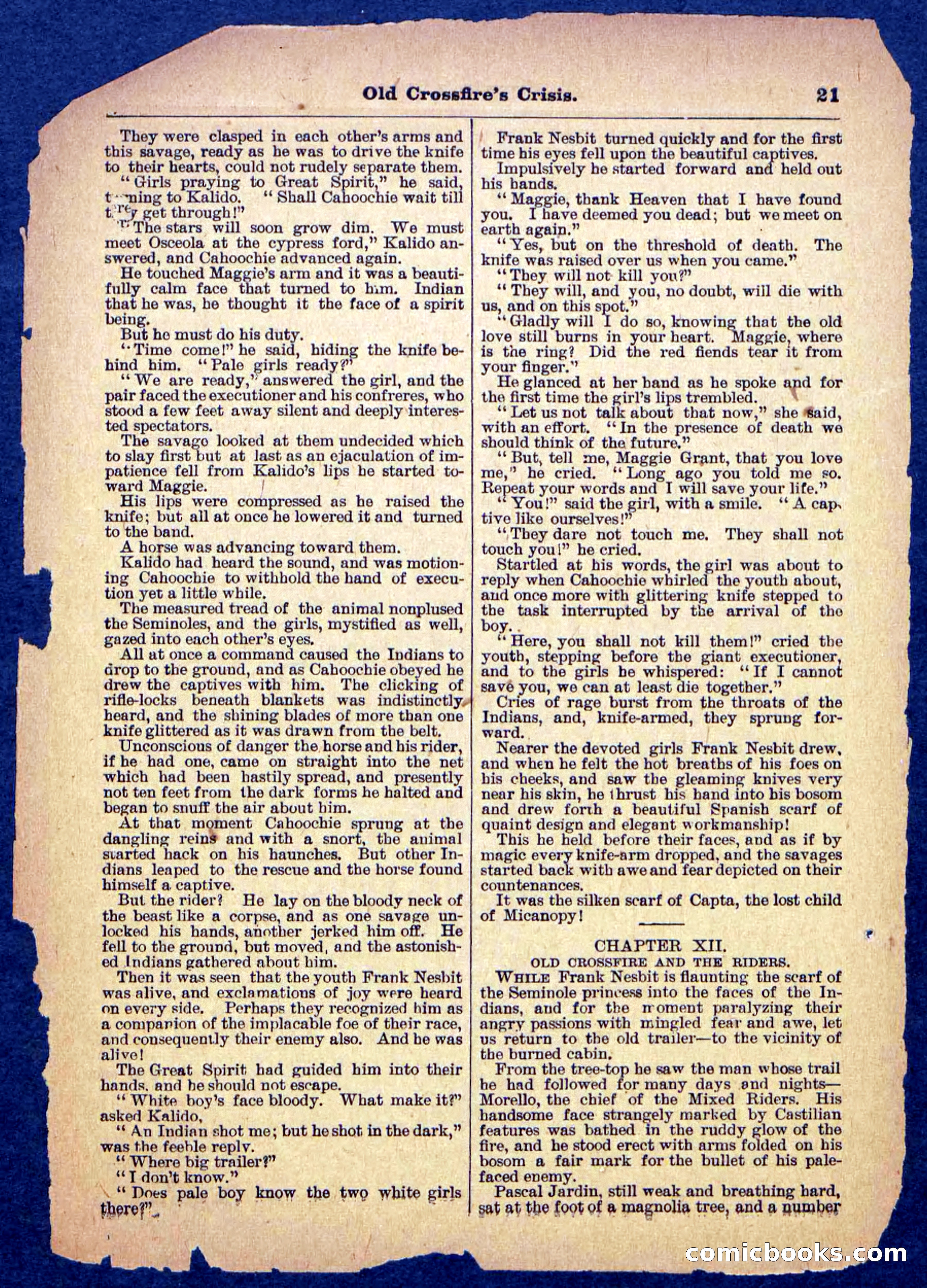 Beadle's Pocket Library No. 489: Old Crossfire's Crisis — page 21 of 32
