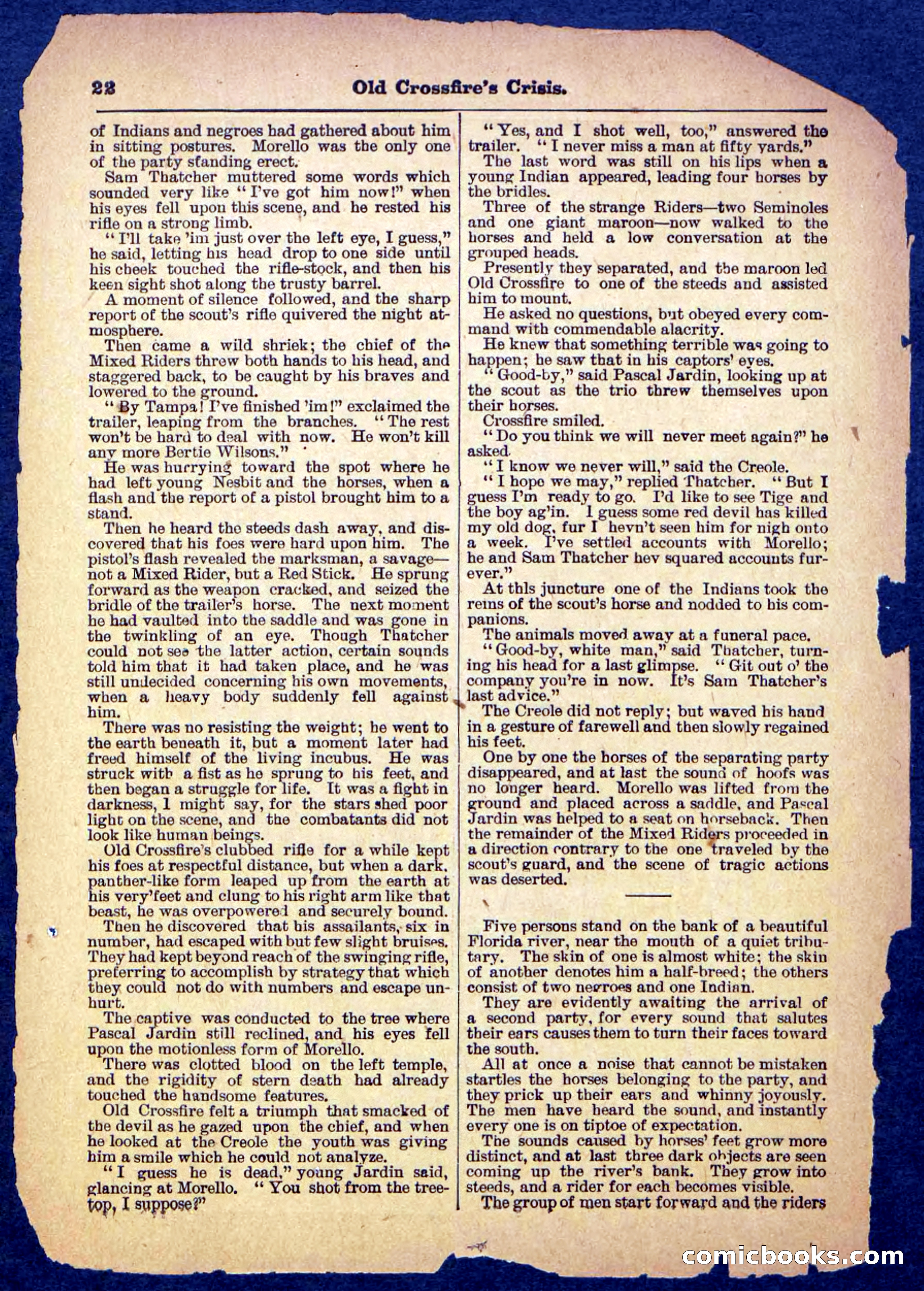 Beadle's Pocket Library No. 489: Old Crossfire's Crisis — page 22 of 32