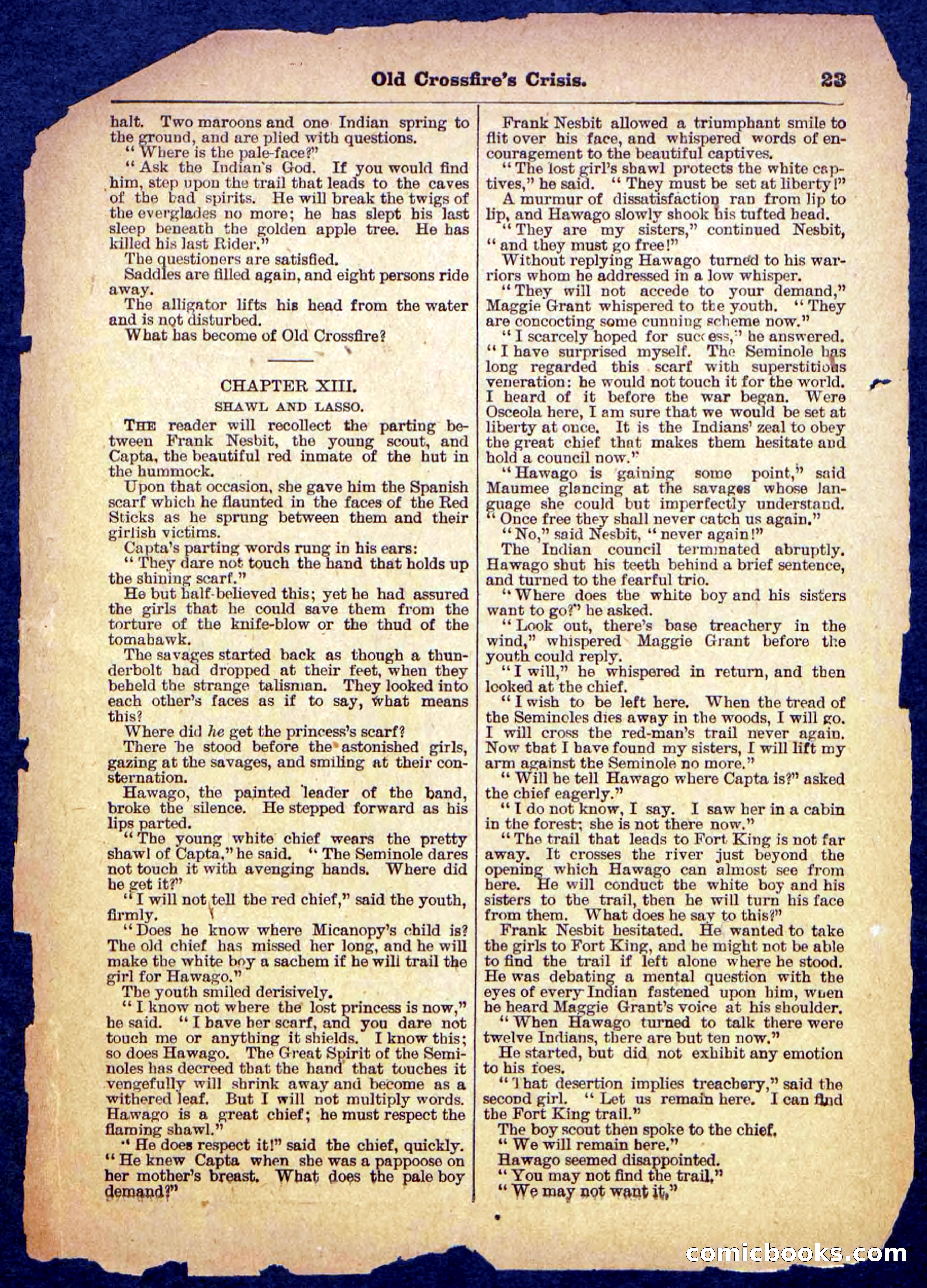 Beadle's Pocket Library No. 489: Old Crossfire's Crisis — page 23 of 32