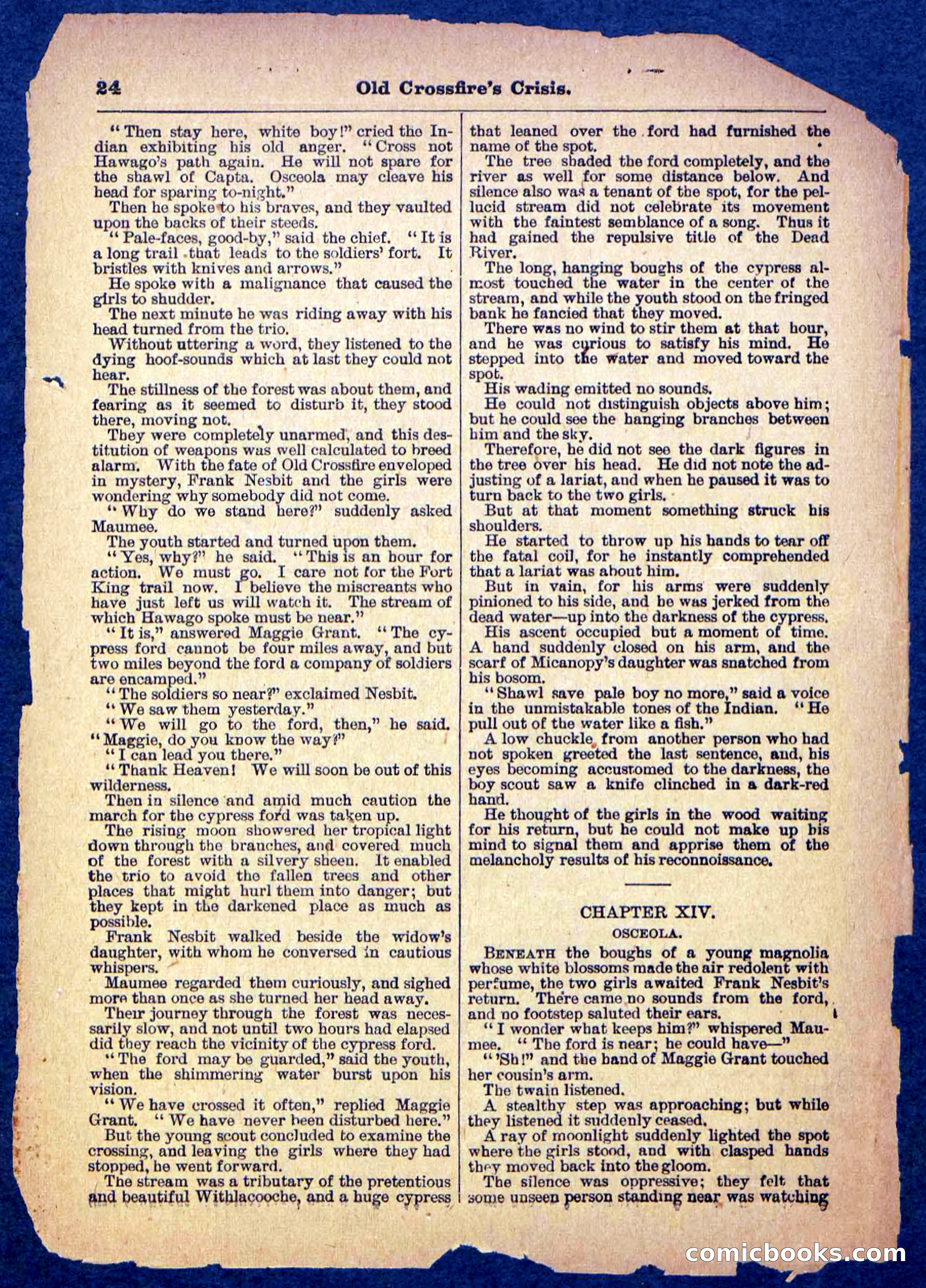 Beadle's Pocket Library No. 489: Old Crossfire's Crisis — page 24 of 32