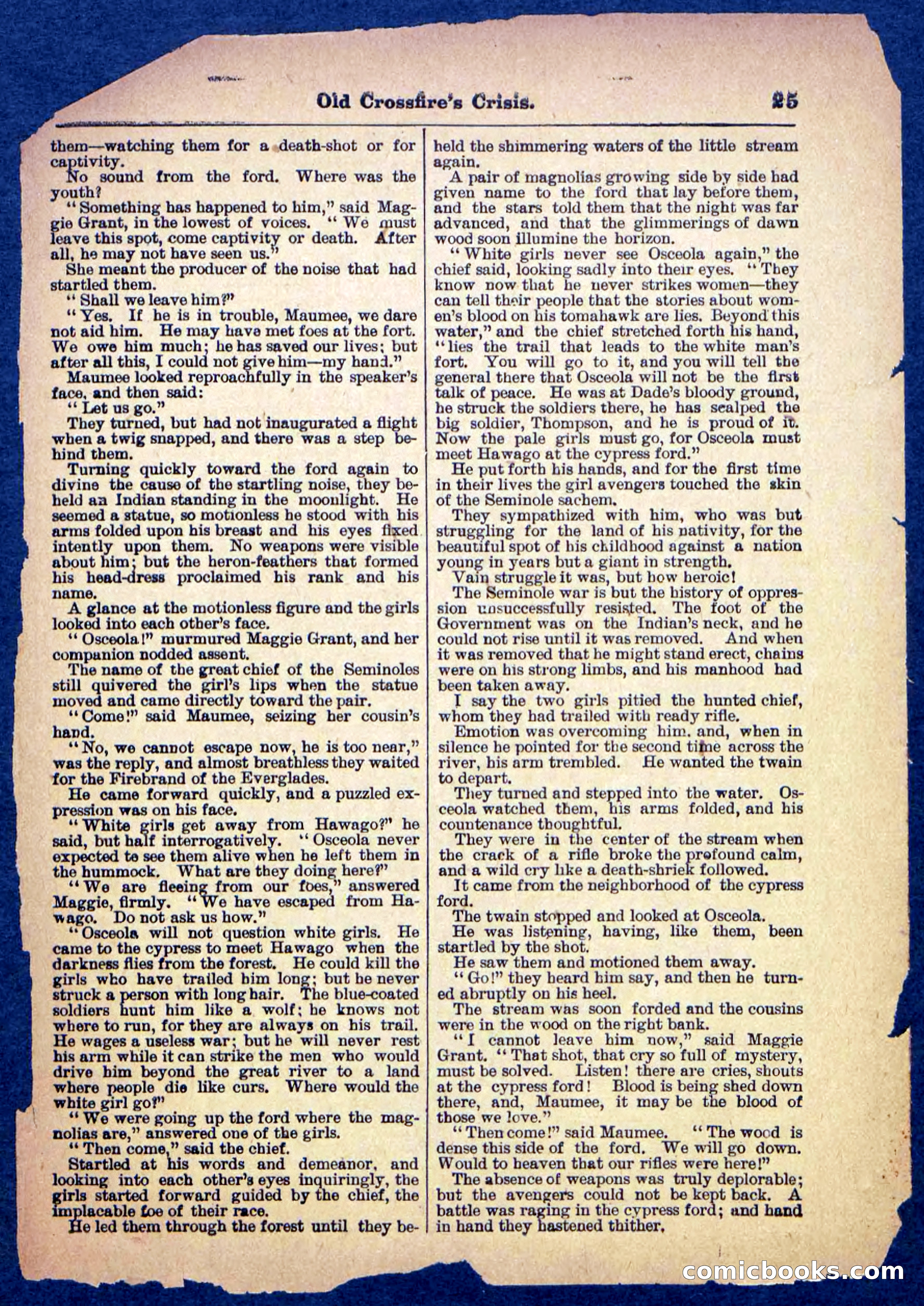 Beadle's Pocket Library No. 489: Old Crossfire's Crisis — page 25 of 32
