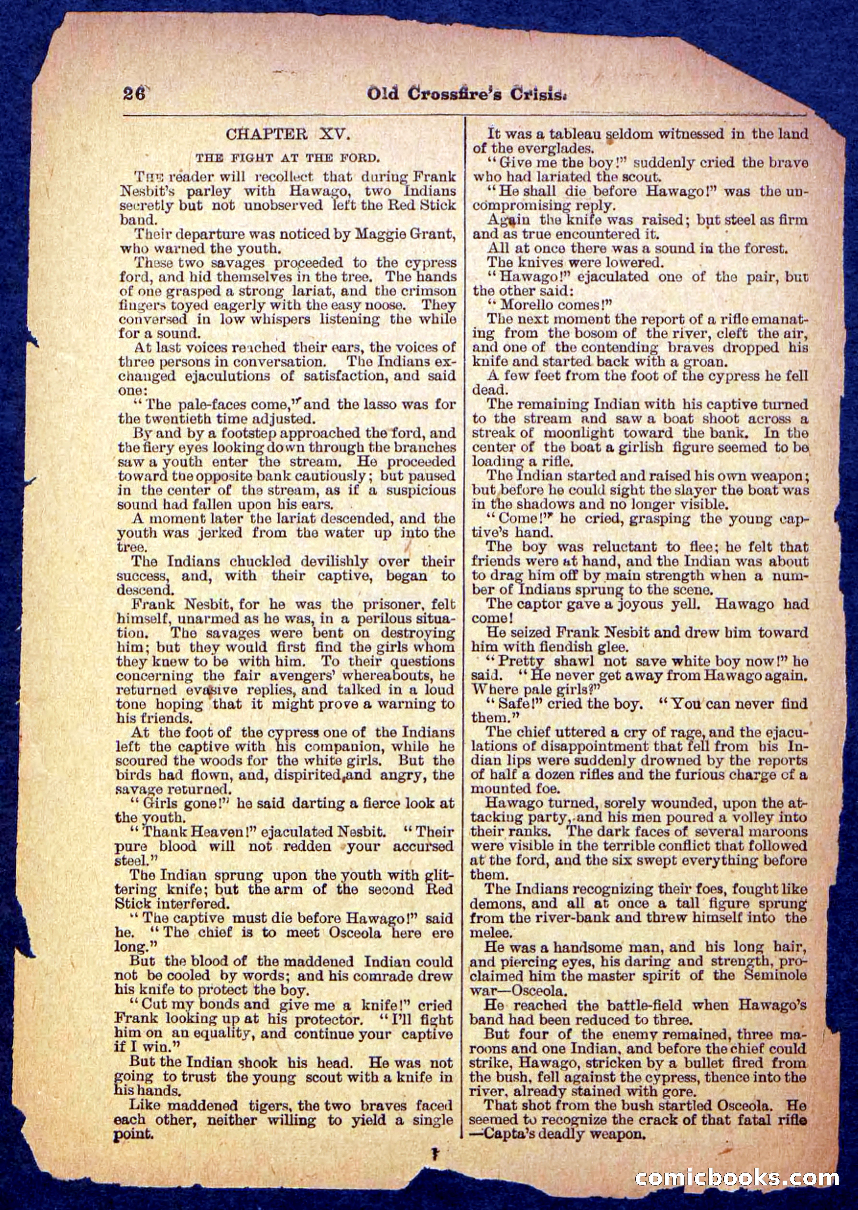 Beadle's Pocket Library No. 489: Old Crossfire's Crisis — page 26 of 32