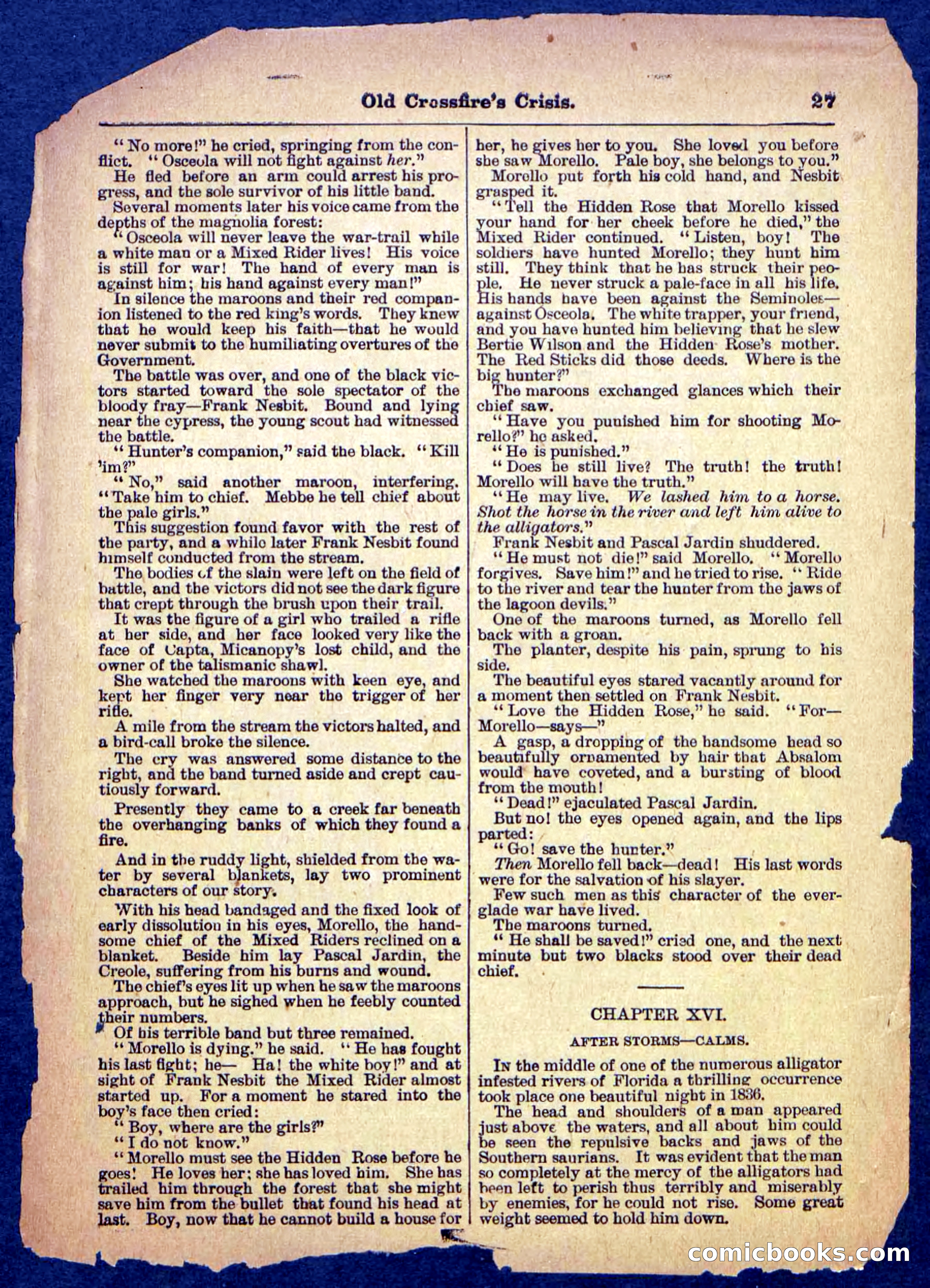 Beadle's Pocket Library No. 489: Old Crossfire's Crisis — page 27 of 32