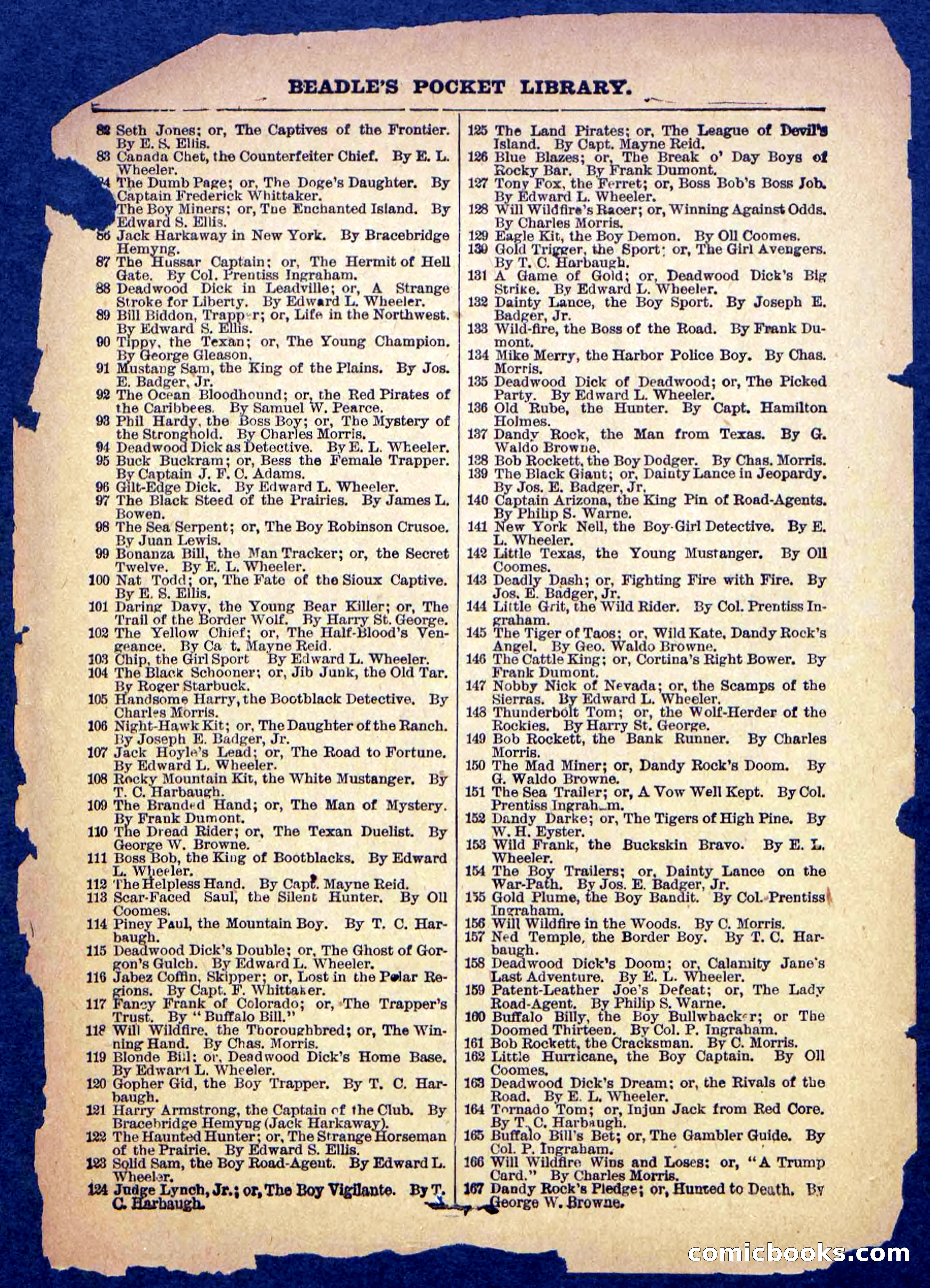 Beadle's Pocket Library No. 489: Old Crossfire's Crisis — page 29 of 32