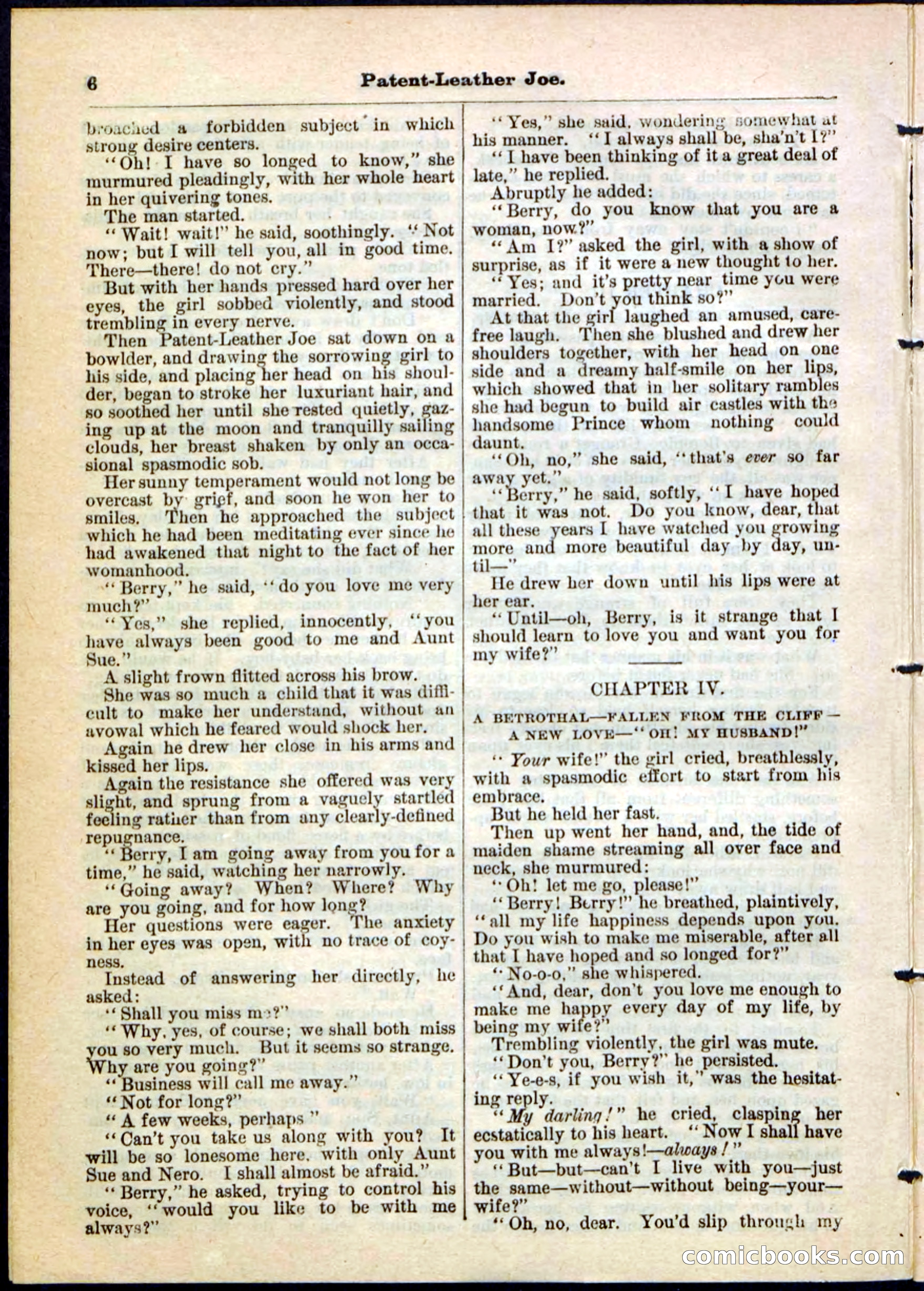 Beadle's Pocket Library No. 51 — page 6 of 32
