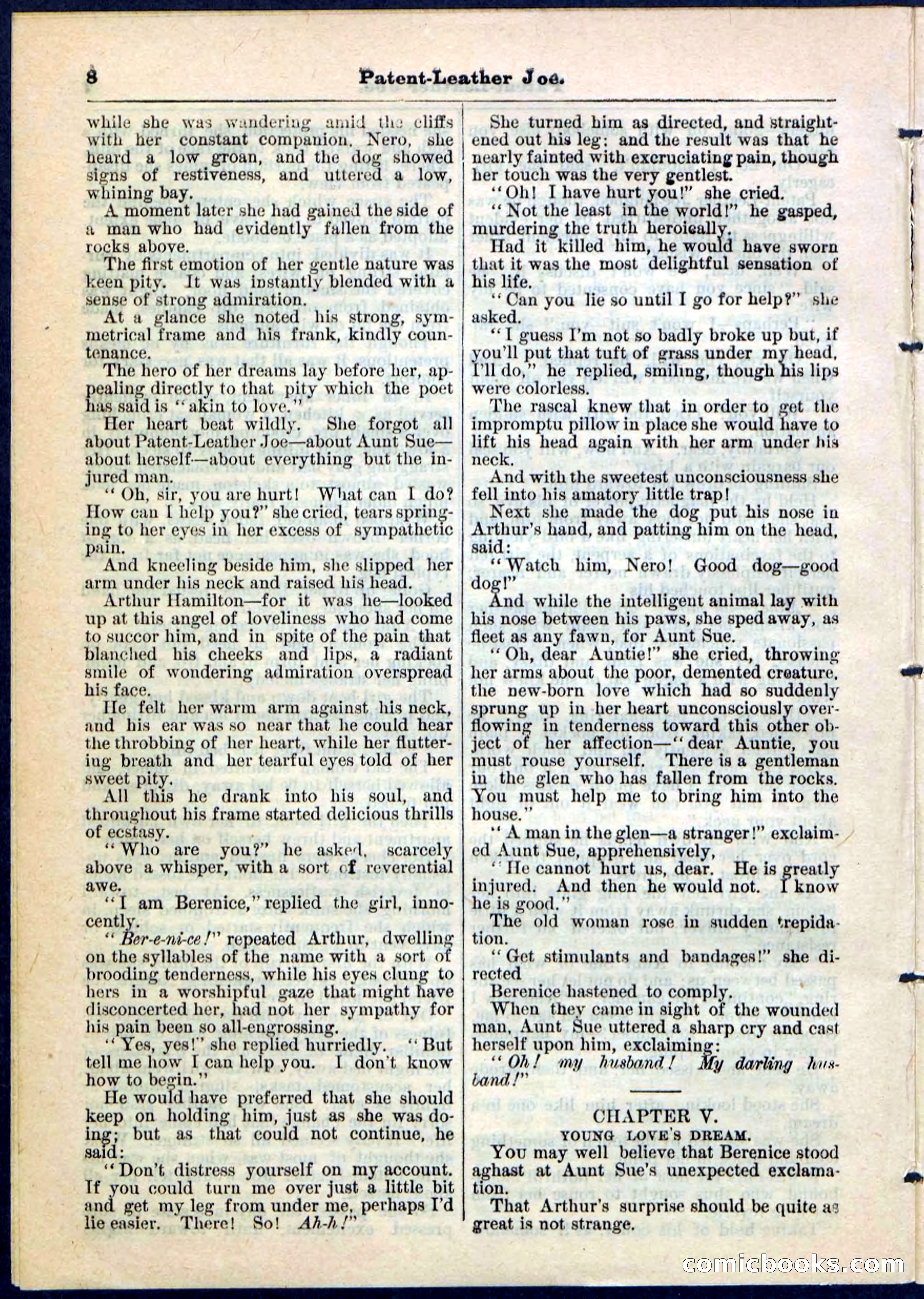 Beadle's Pocket Library No. 51 — page 8 of 32