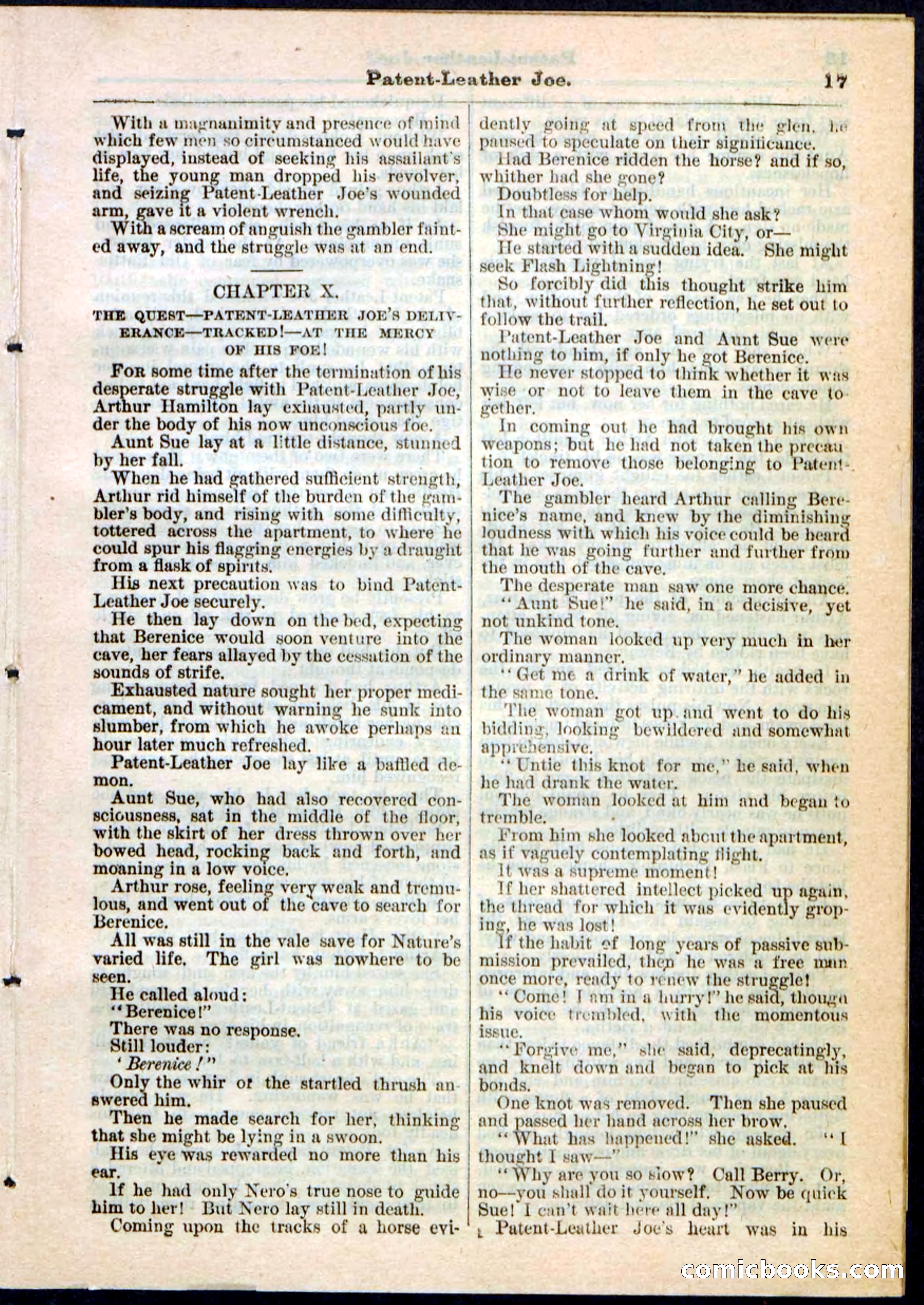 Beadle's Pocket Library No. 51 — page 17 of 32