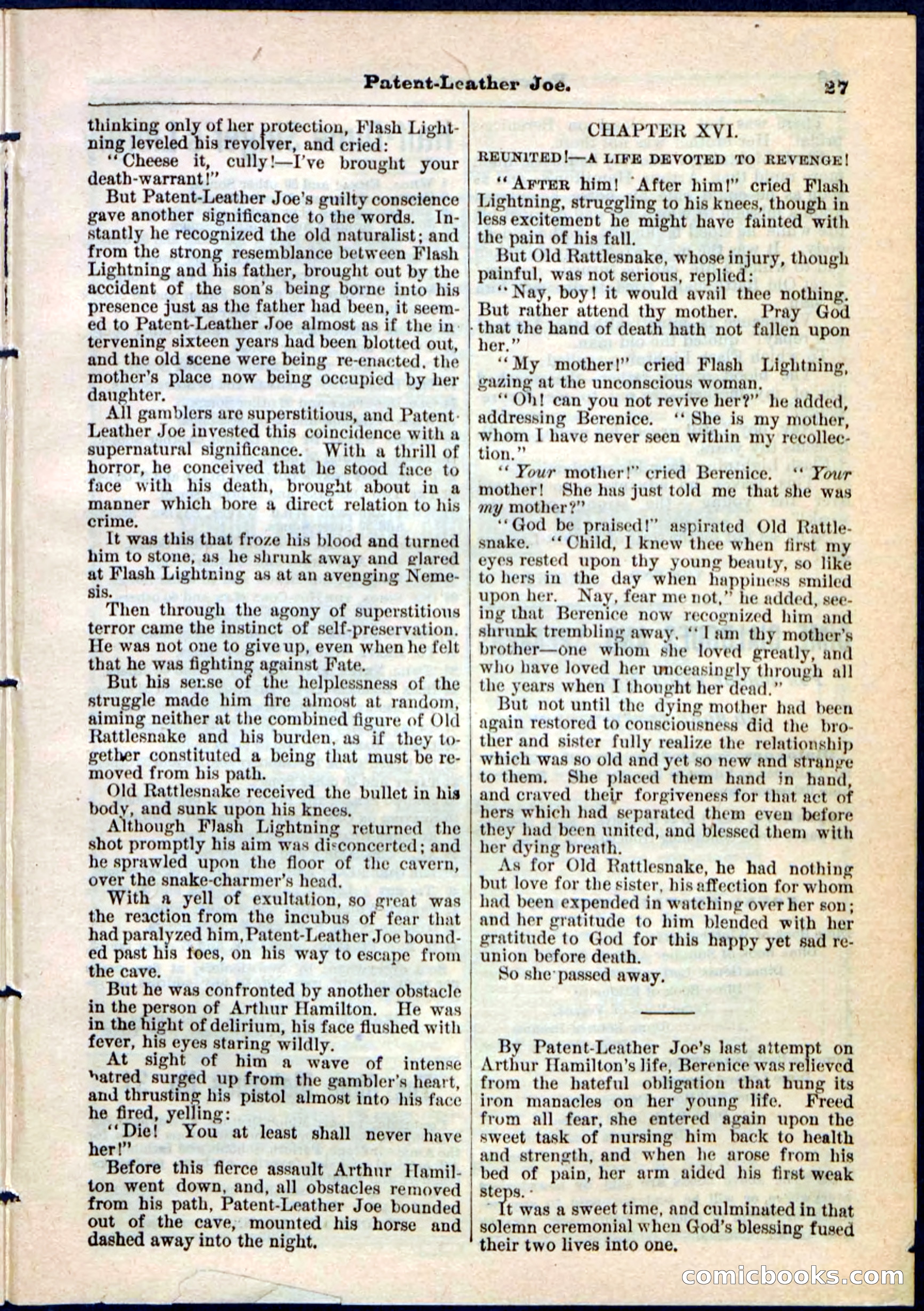 Beadle's Pocket Library No. 51 — page 27 of 32