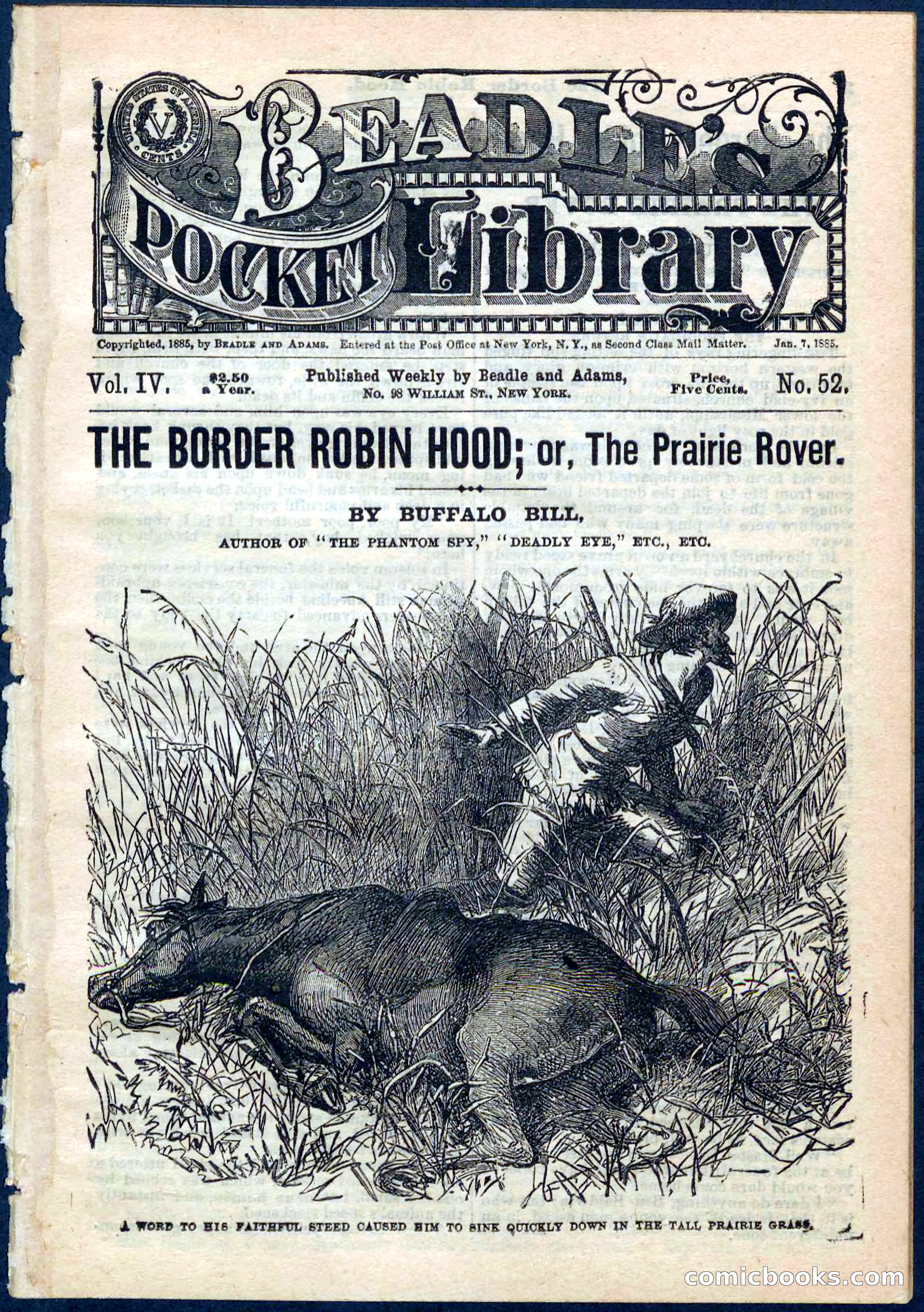 The Border Robin Hood; or, The Prairie Rover