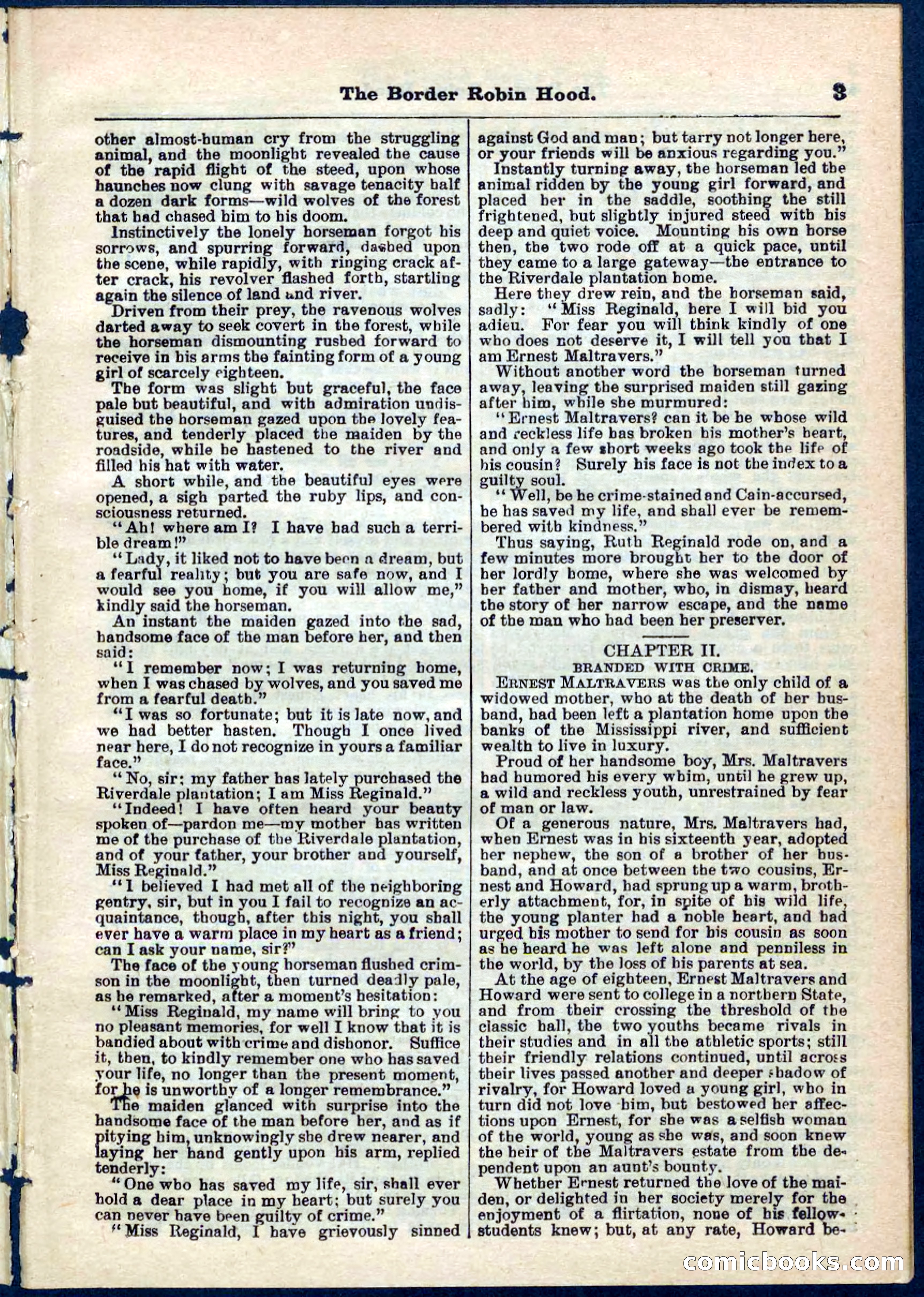 The Border Robin Hood; or, The Prairie Rover — page 3 of 32