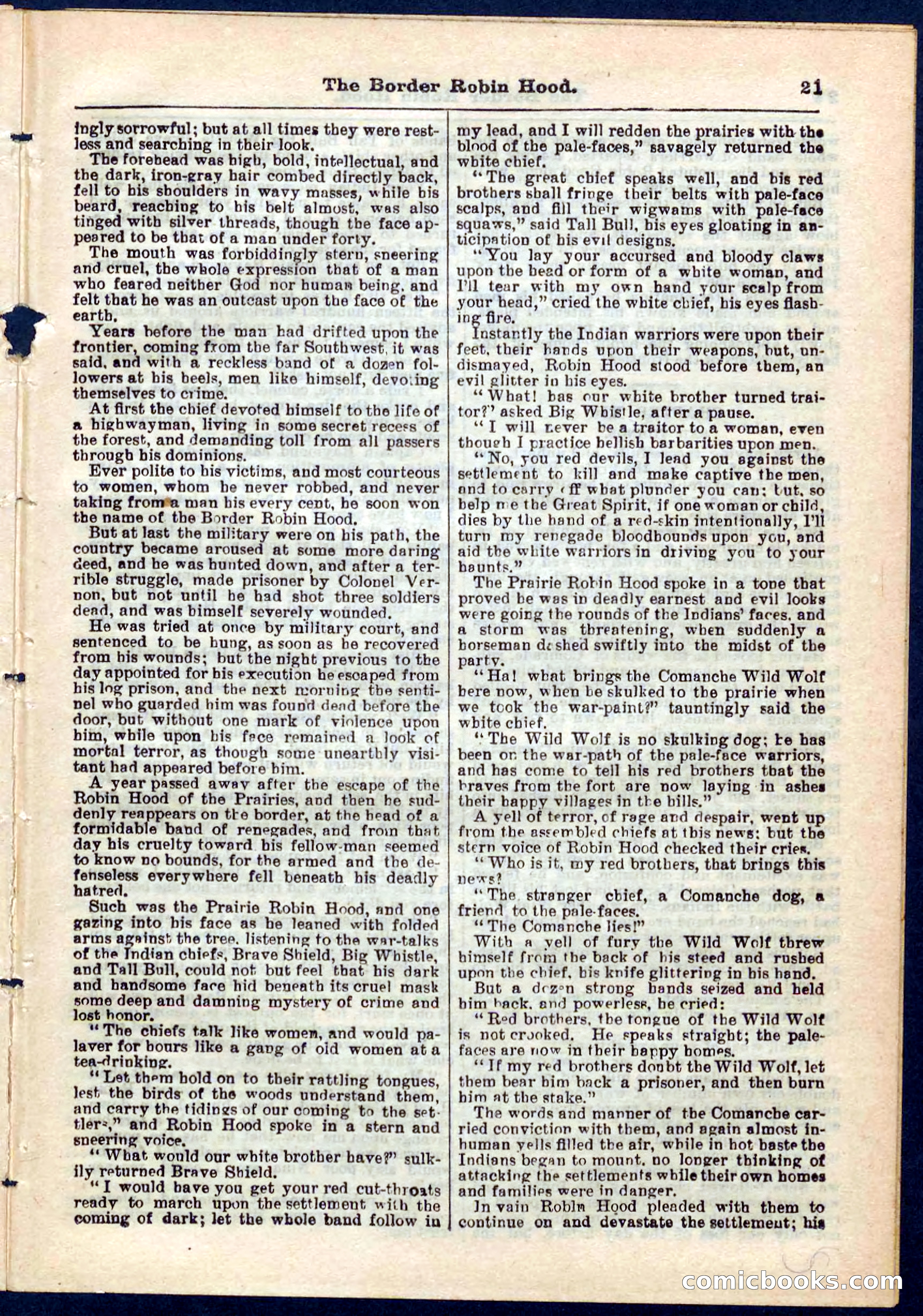 The Border Robin Hood; or, The Prairie Rover — page 21 of 32
