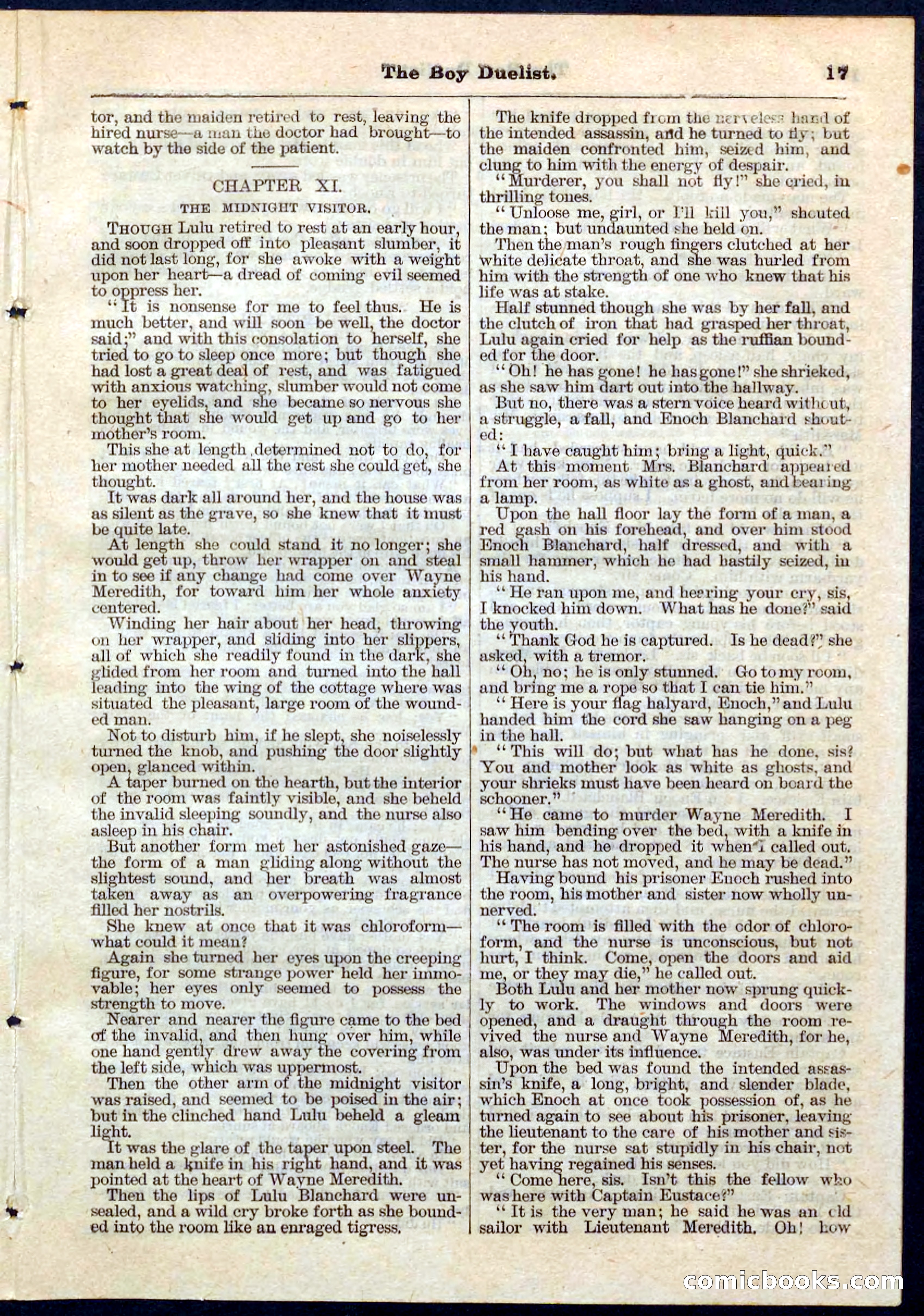 The Boy Duellist; Or, The Cruise of the Sea Wolf — page 17 of 32