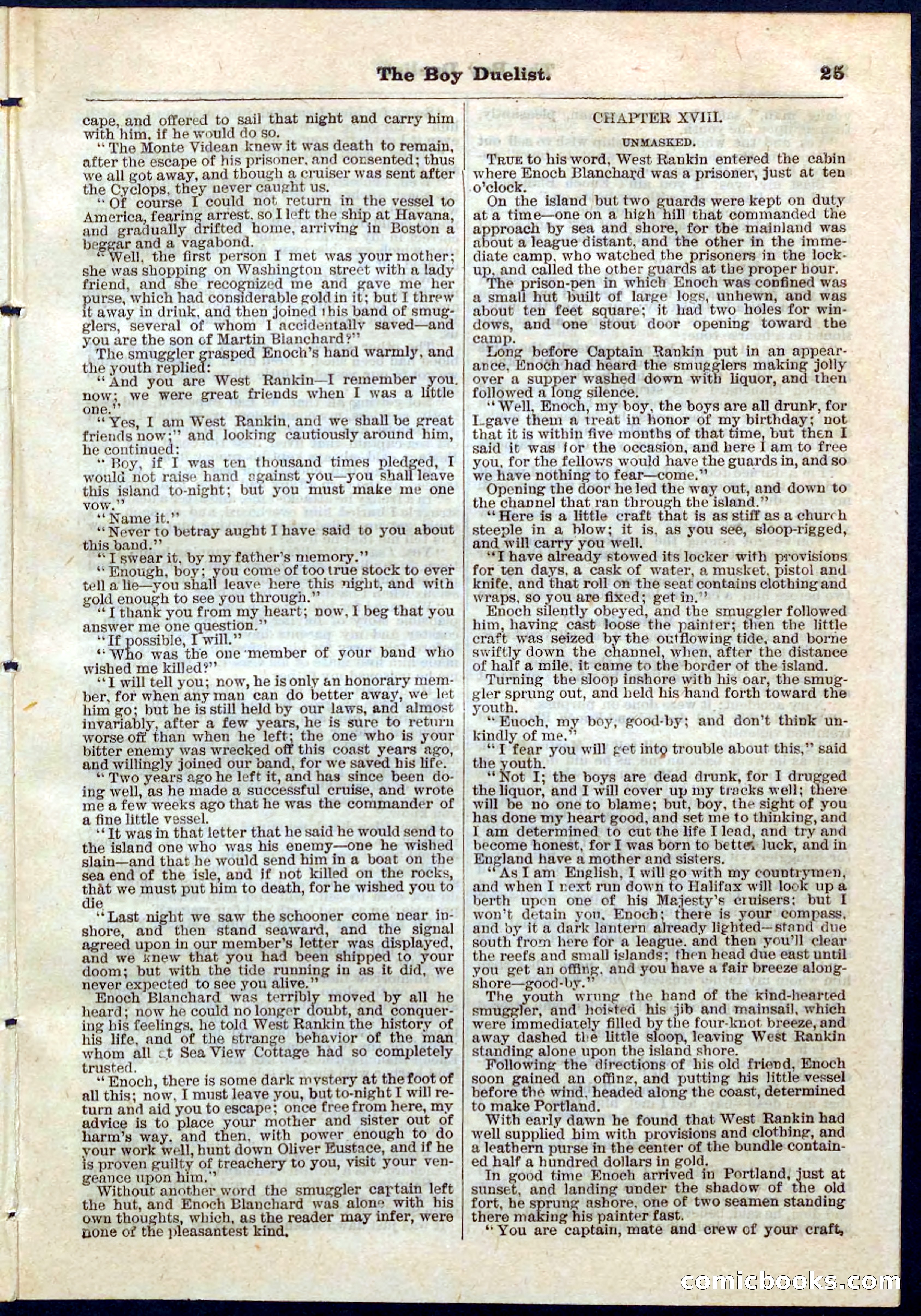 The Boy Duellist; Or, The Cruise of the Sea Wolf — page 25 of 32