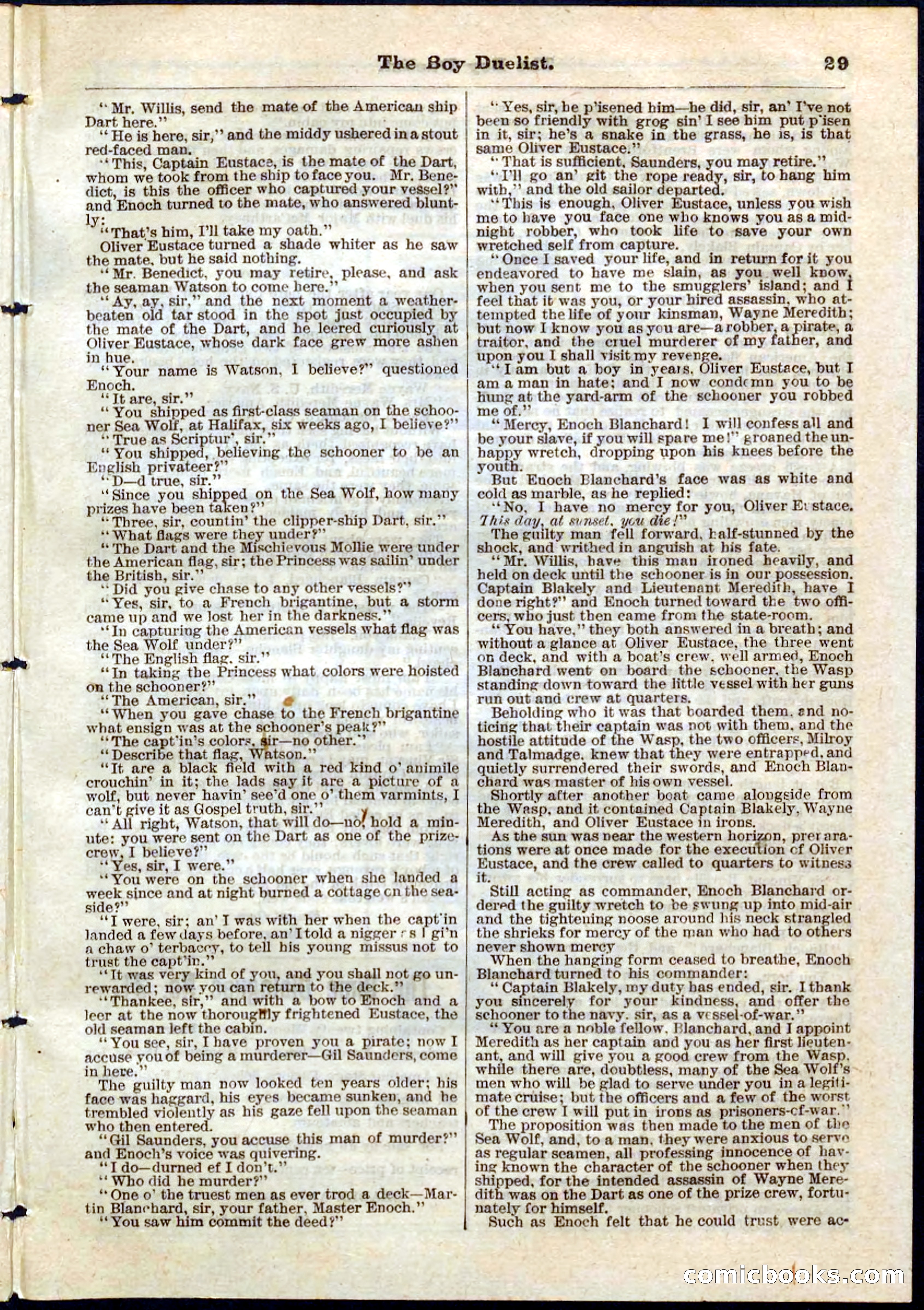 The Boy Duellist; Or, The Cruise of the Sea Wolf — page 29 of 32