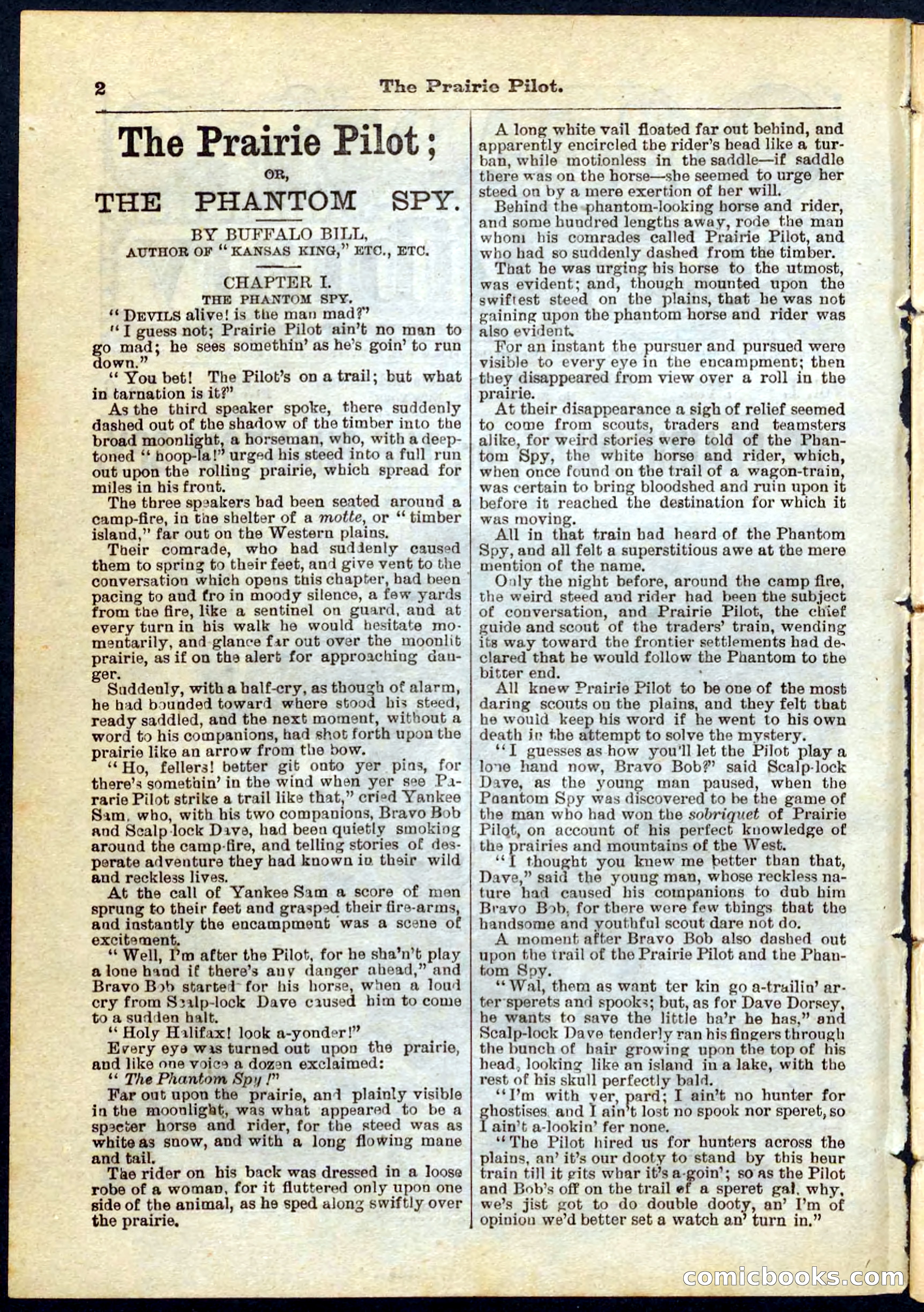 The Prairie Pilot; or, The Phantom Spy — page 2 of 32