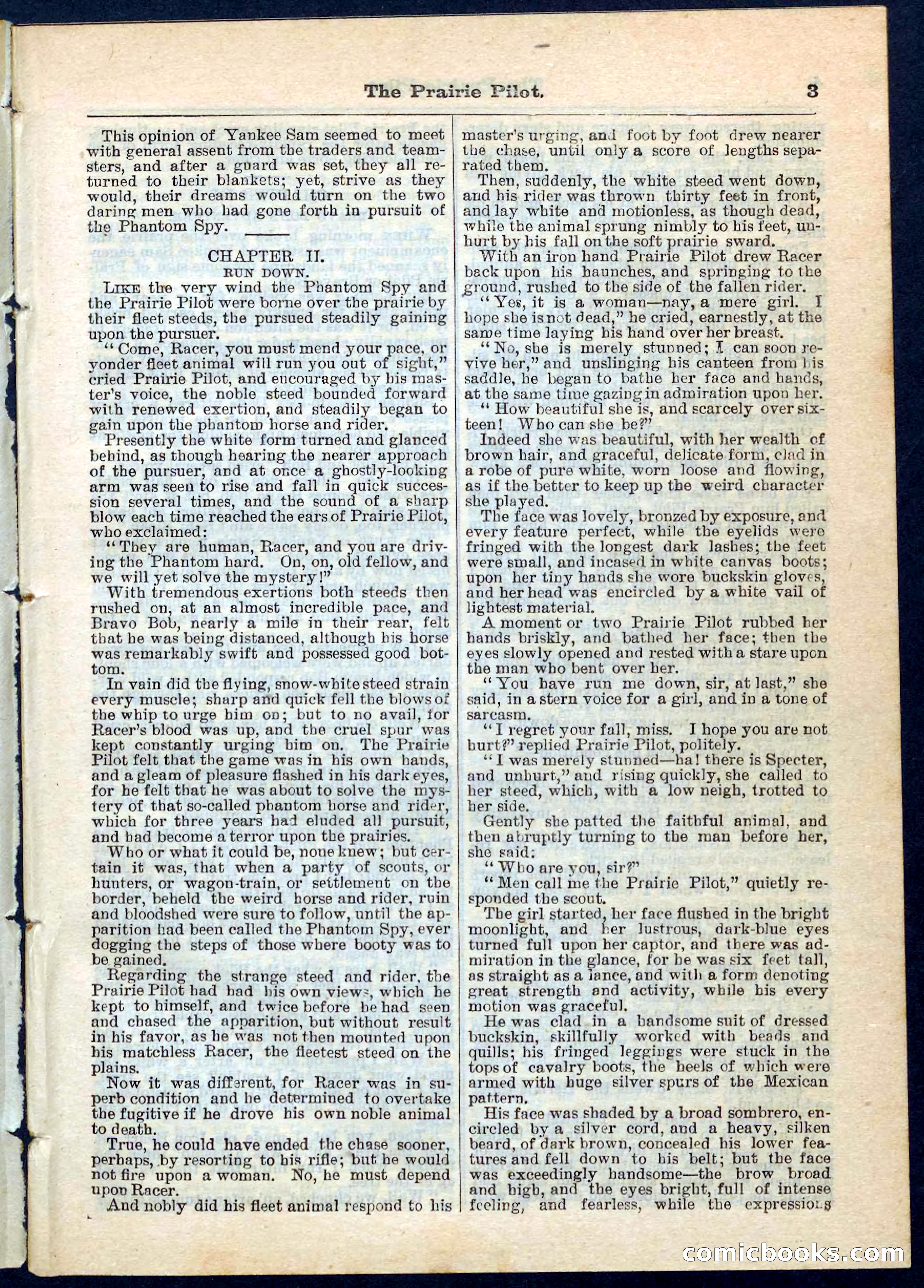The Prairie Pilot; or, The Phantom Spy — page 3 of 32