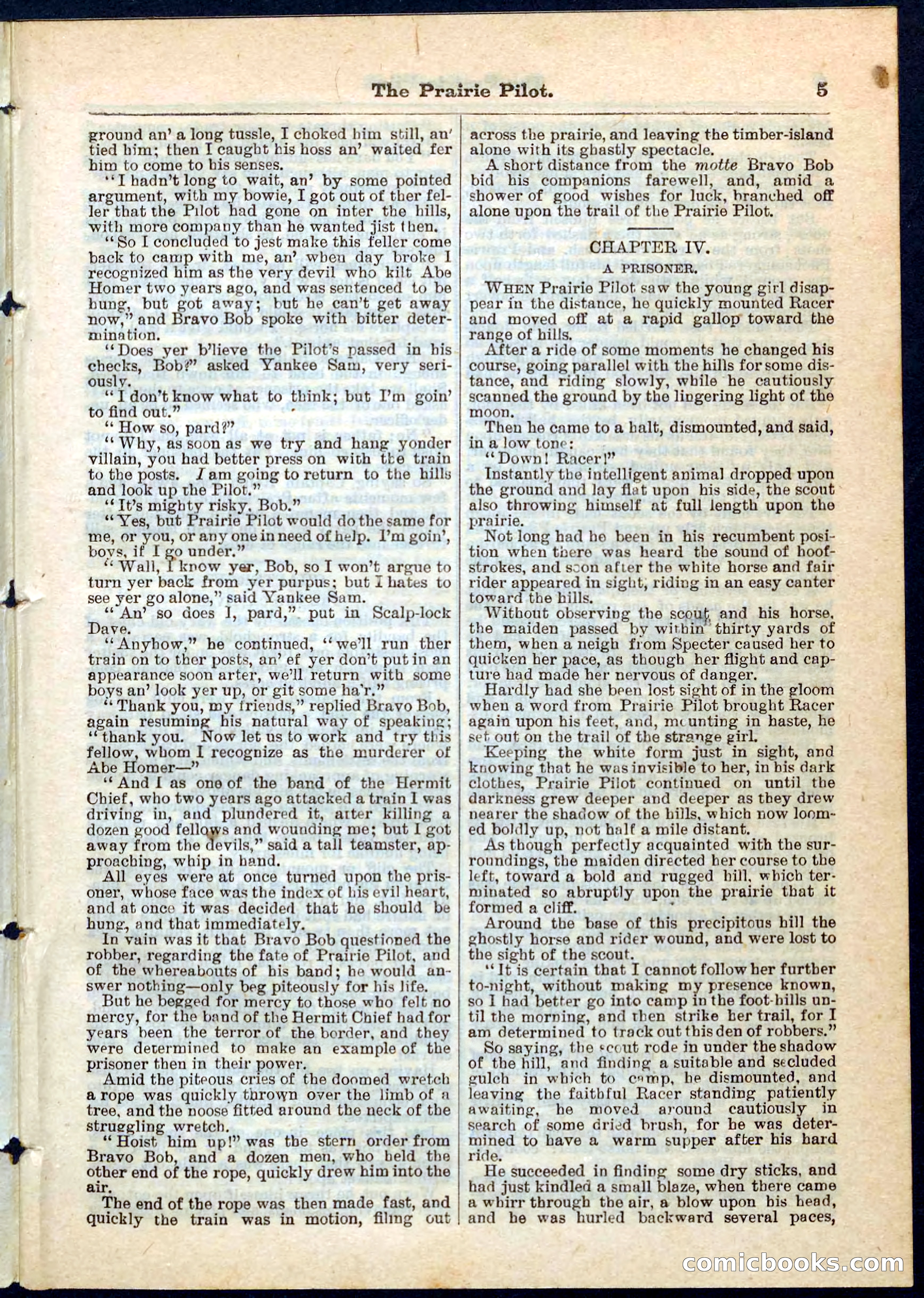 The Prairie Pilot; or, The Phantom Spy — page 5 of 32