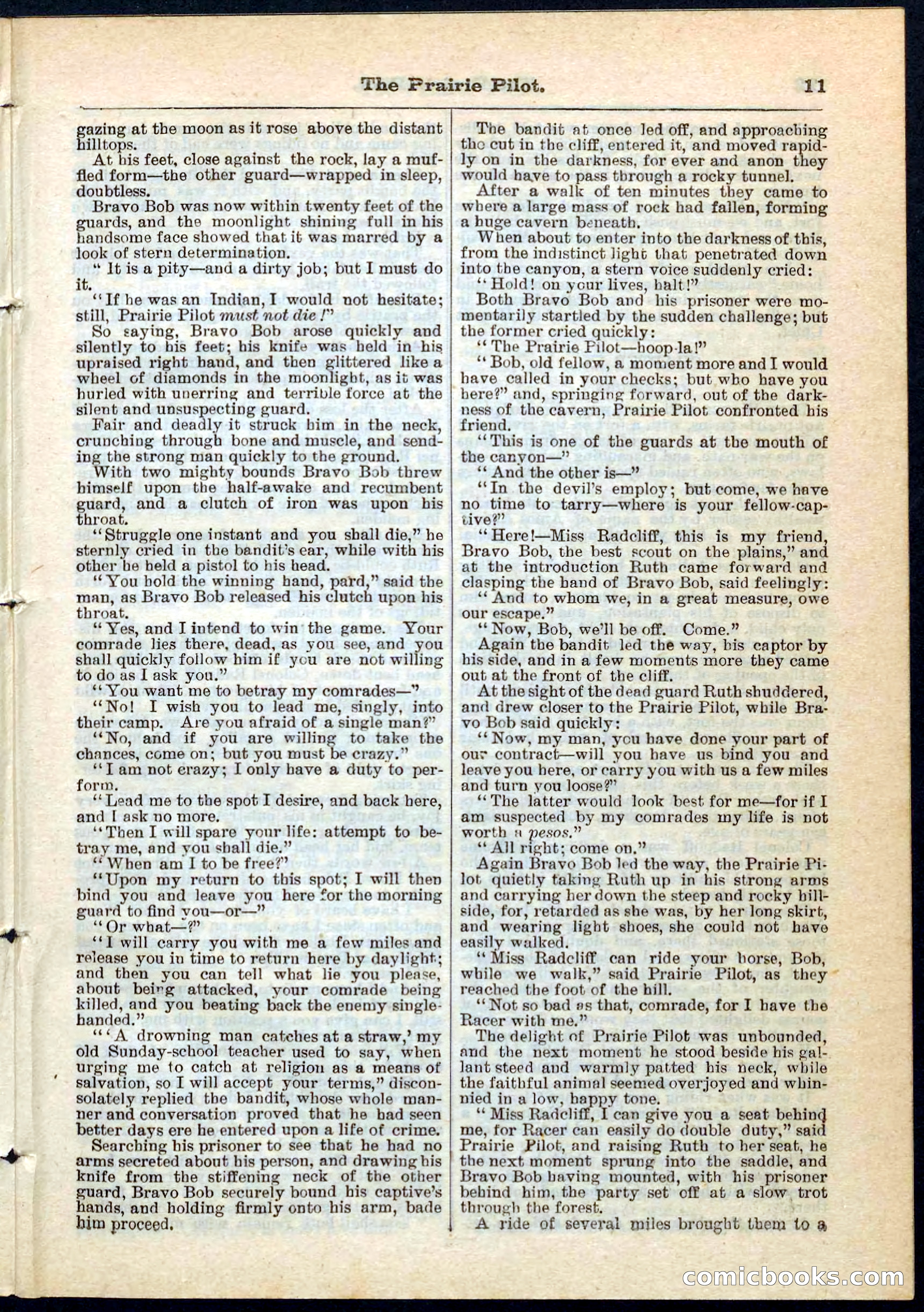 The Prairie Pilot; or, The Phantom Spy — page 11 of 32