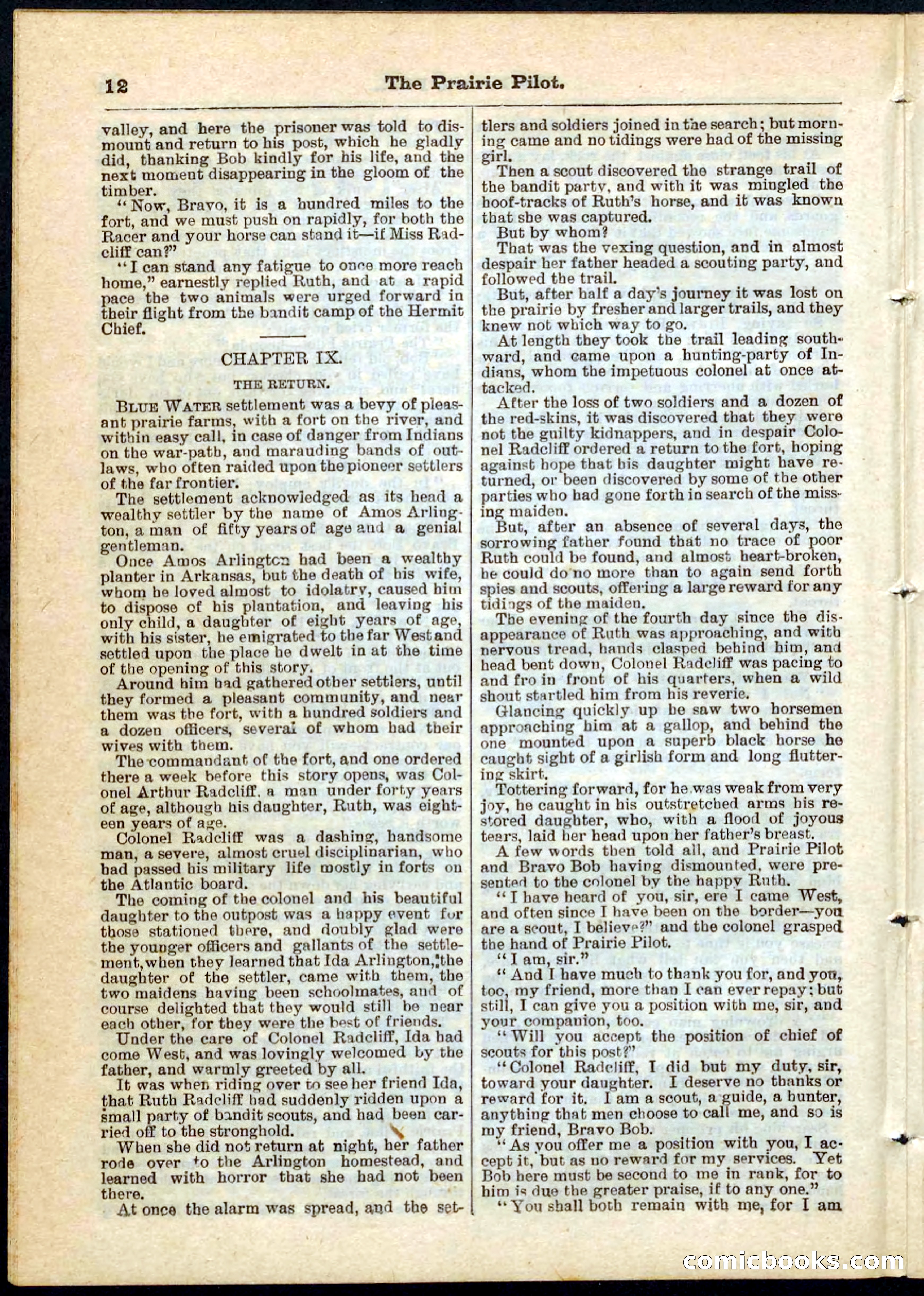 The Prairie Pilot; or, The Phantom Spy — page 12 of 32
