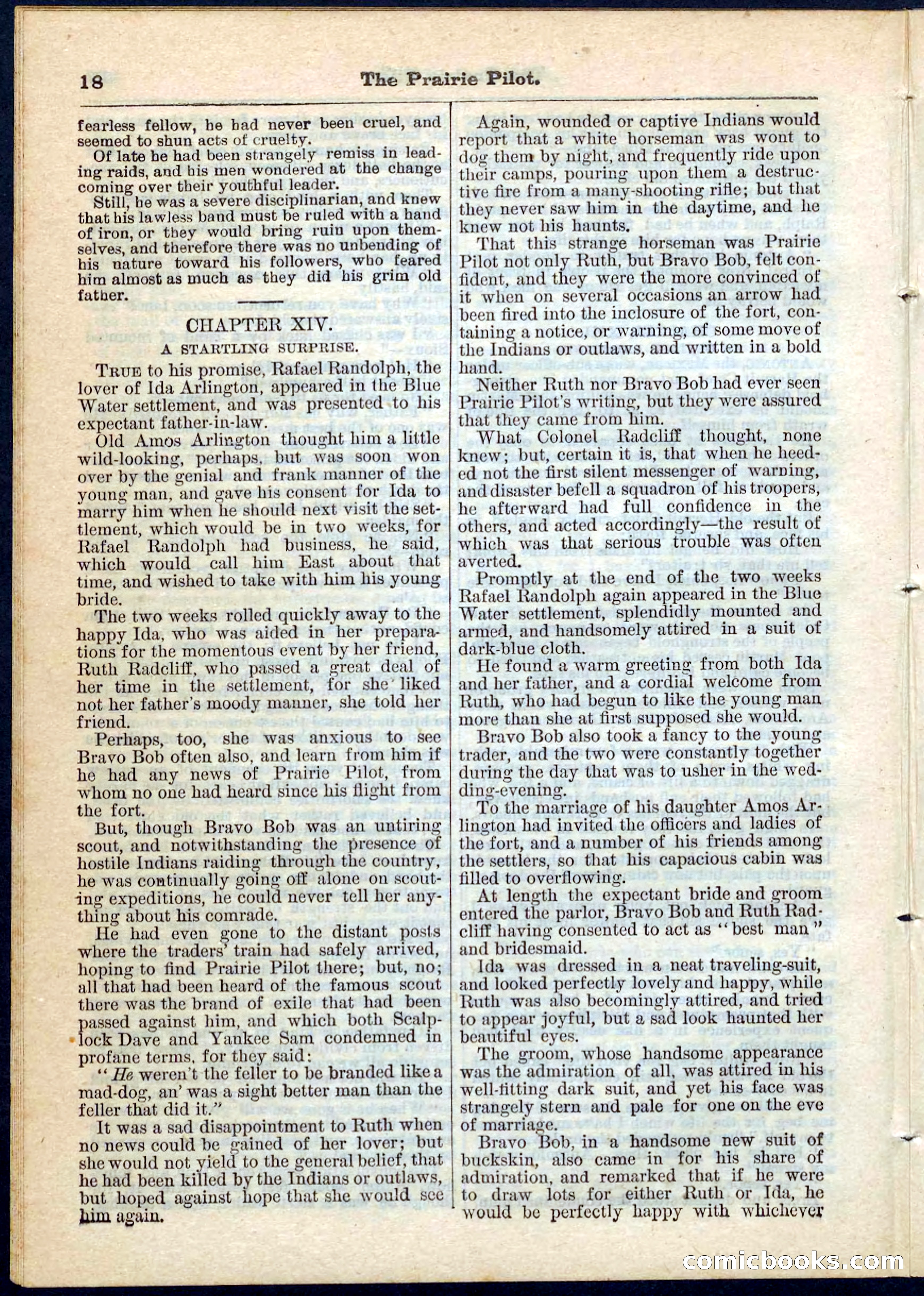 The Prairie Pilot; or, The Phantom Spy — page 18 of 32
