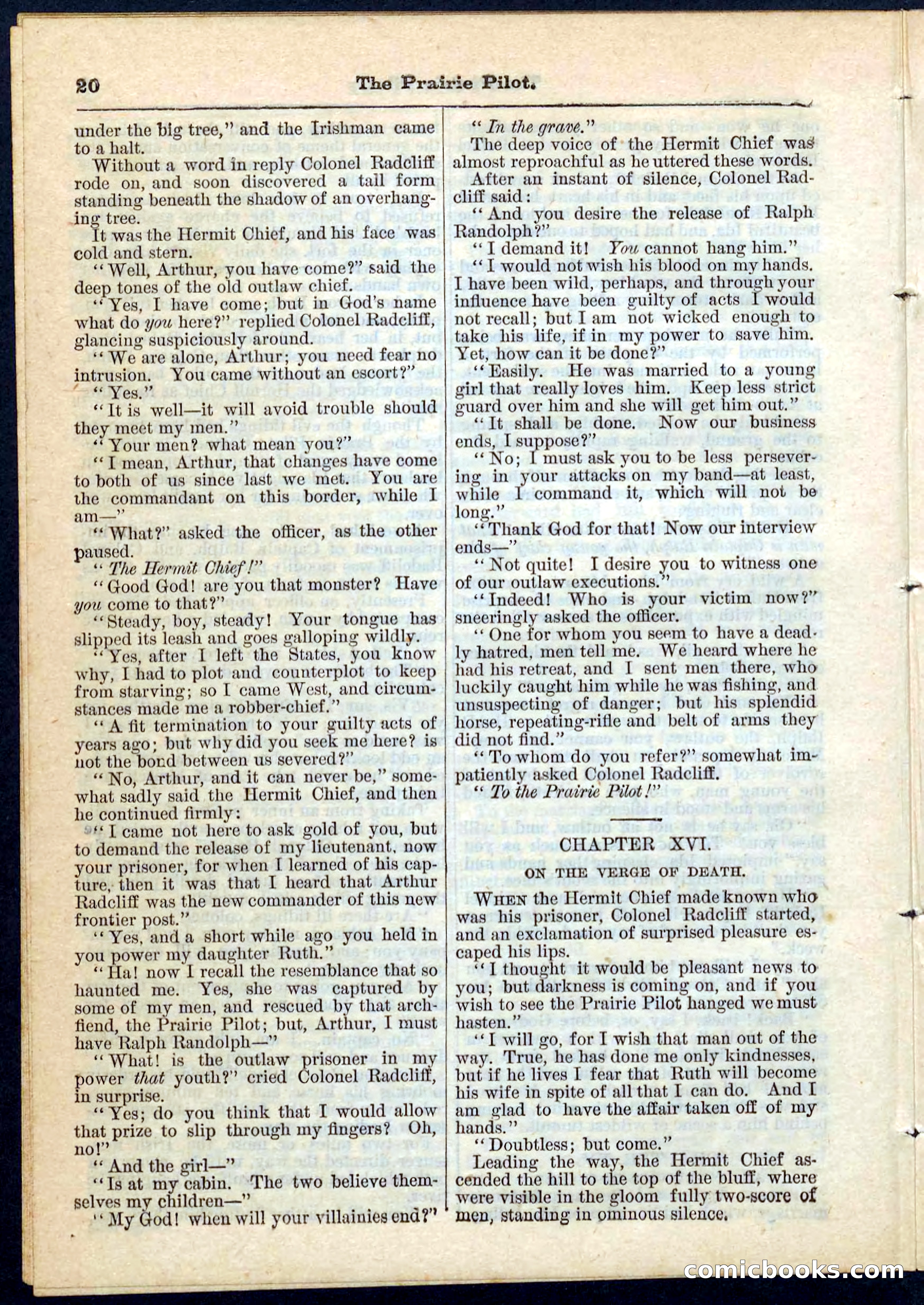The Prairie Pilot; or, The Phantom Spy — page 20 of 32