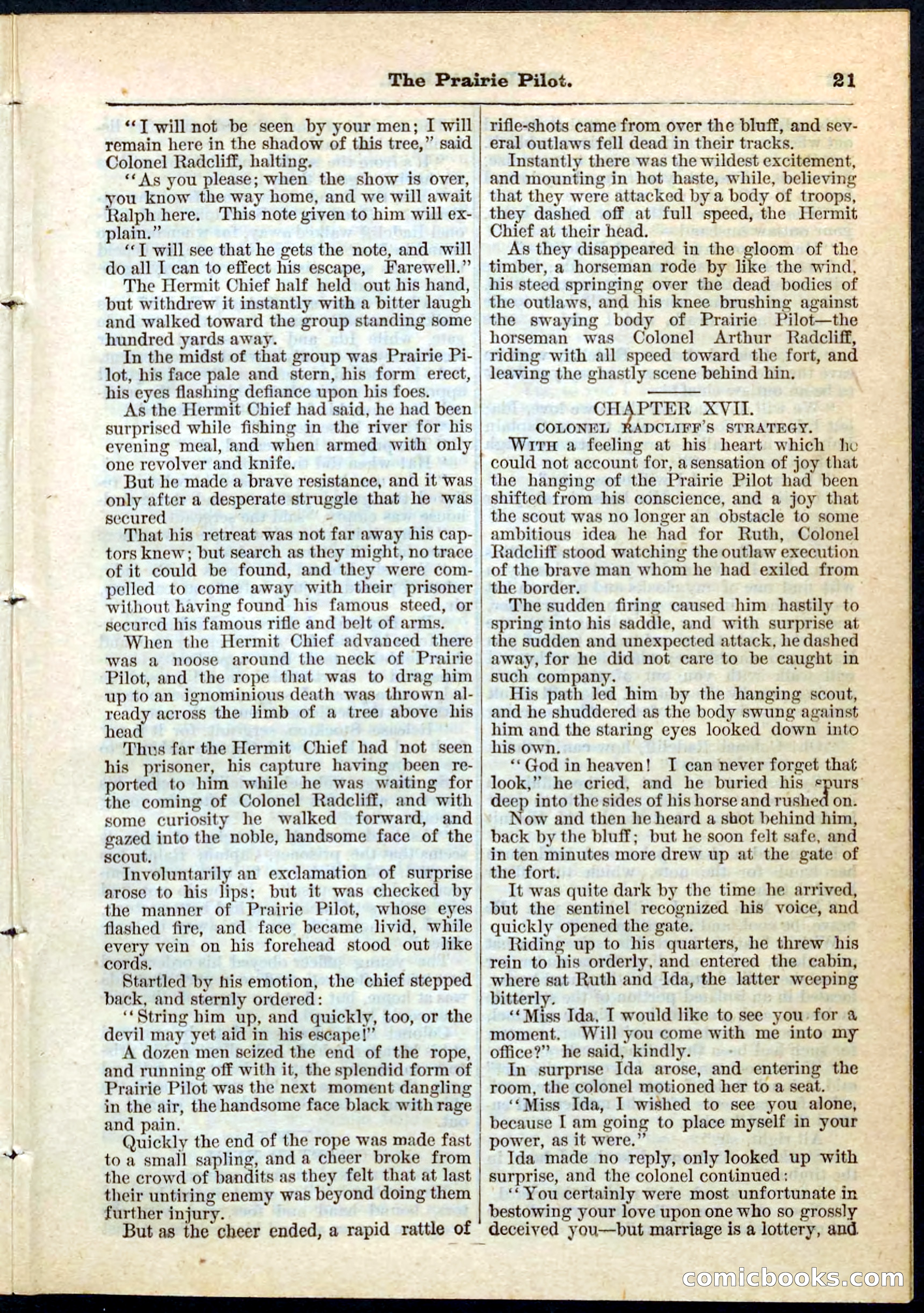 The Prairie Pilot; or, The Phantom Spy — page 21 of 32