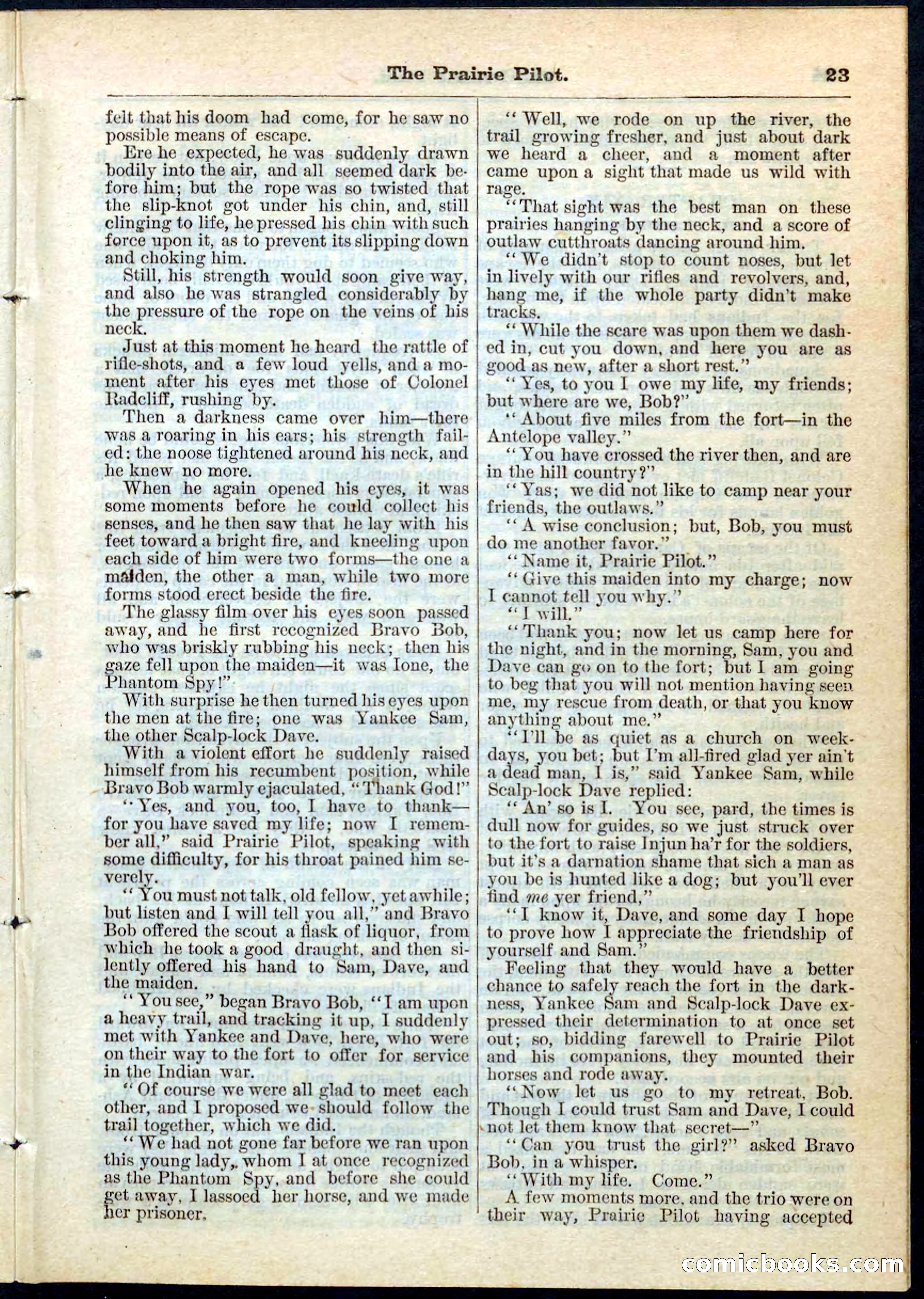 The Prairie Pilot; or, The Phantom Spy — page 23 of 32