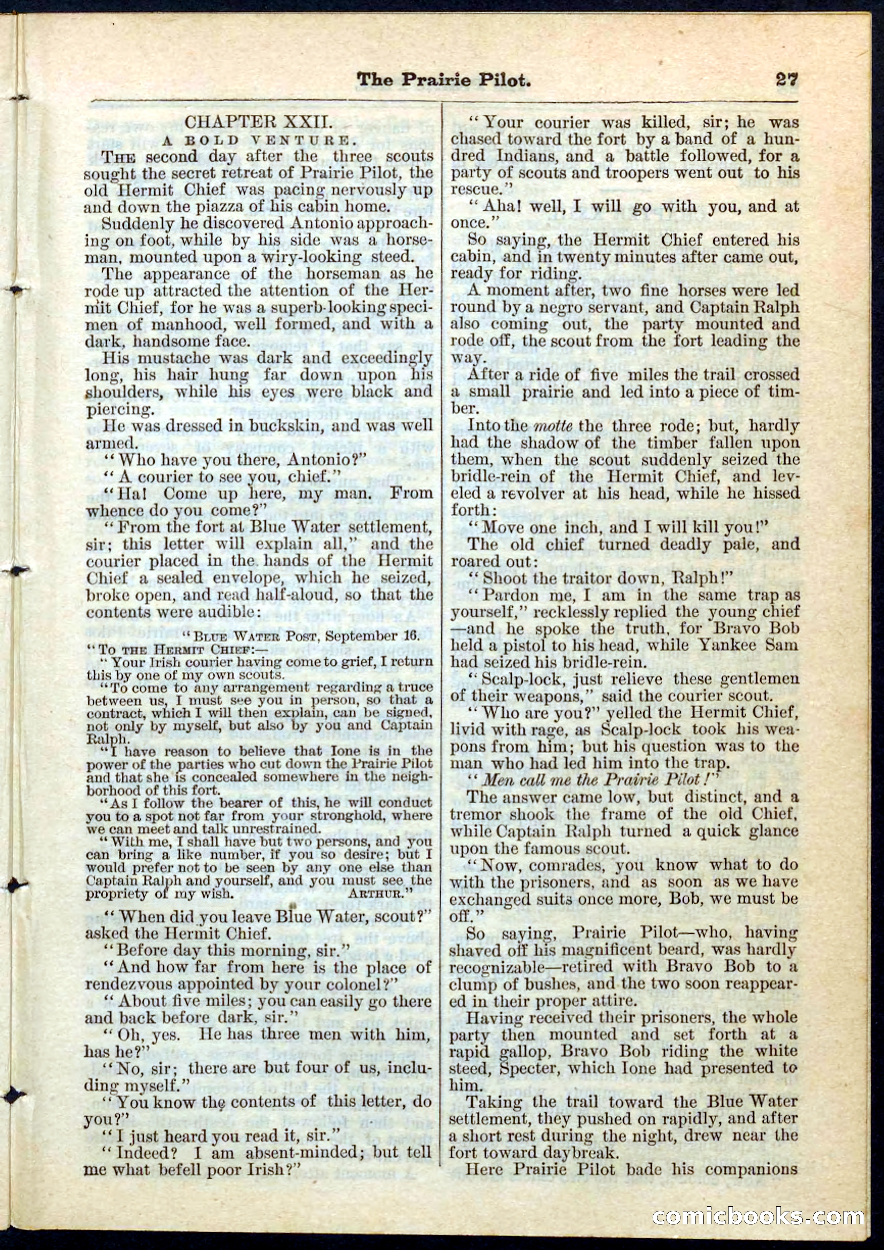 The Prairie Pilot; or, The Phantom Spy — page 27 of 32