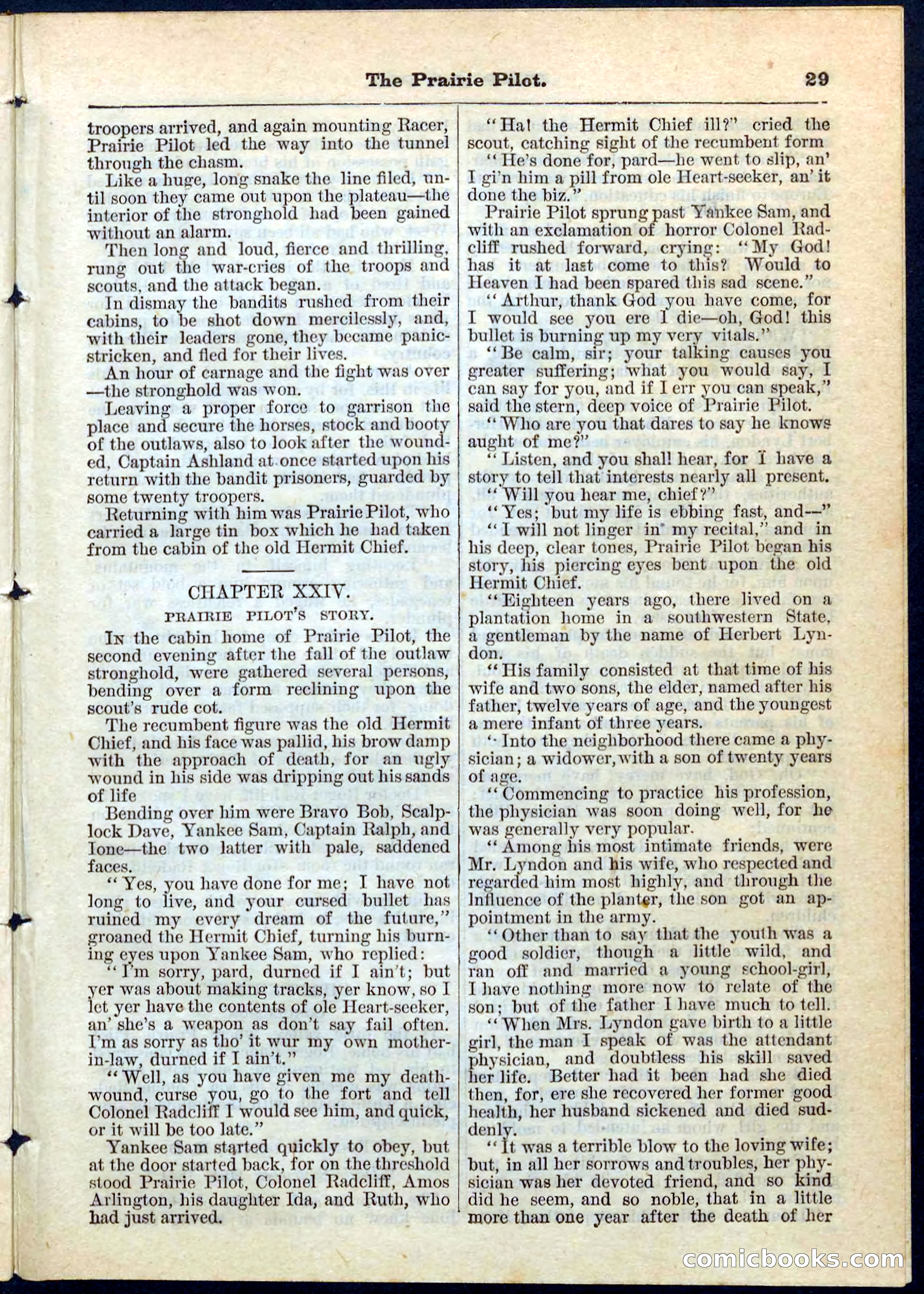 The Prairie Pilot; or, The Phantom Spy — page 29 of 32