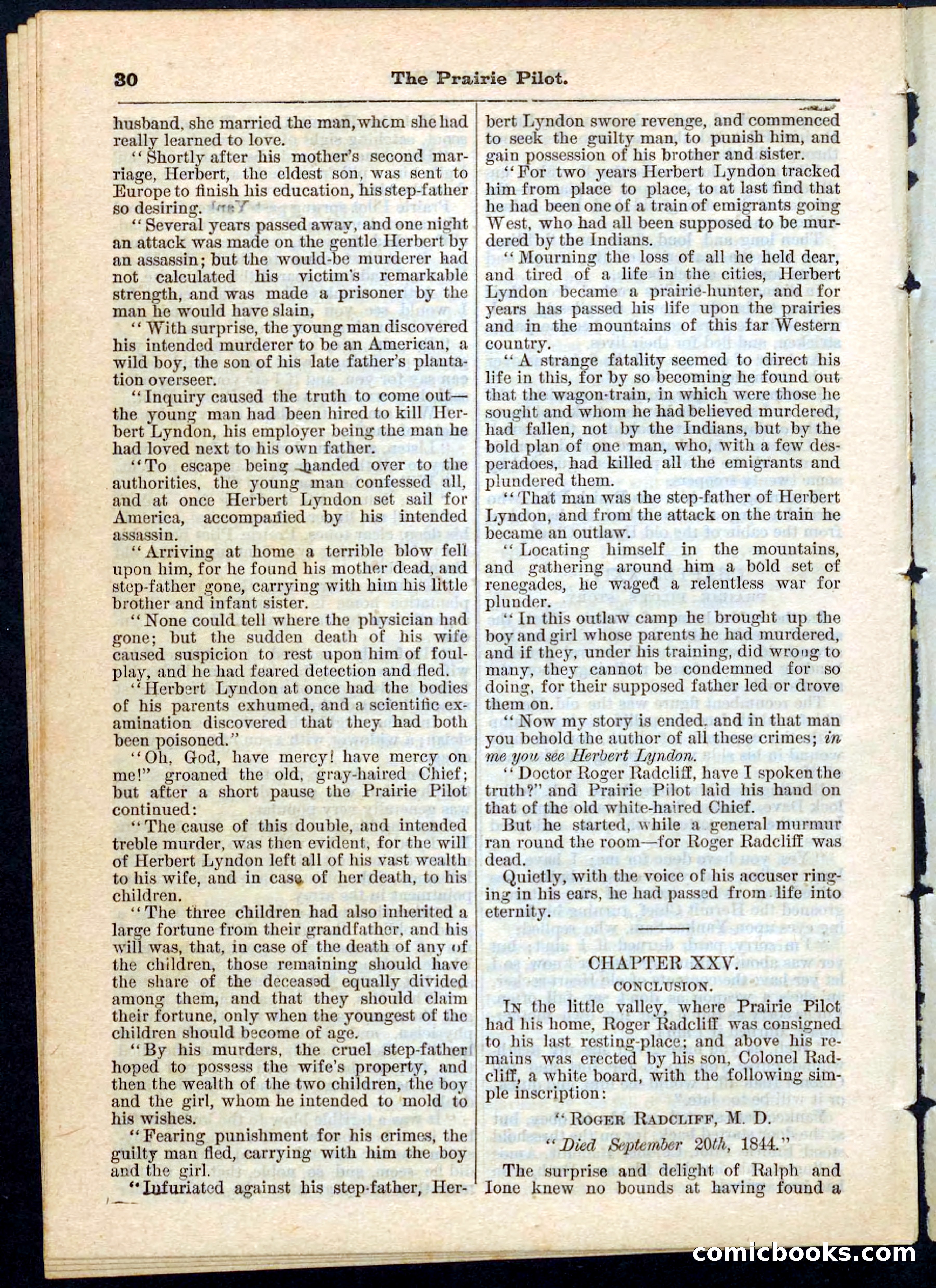 The Prairie Pilot; or, The Phantom Spy — page 30 of 32