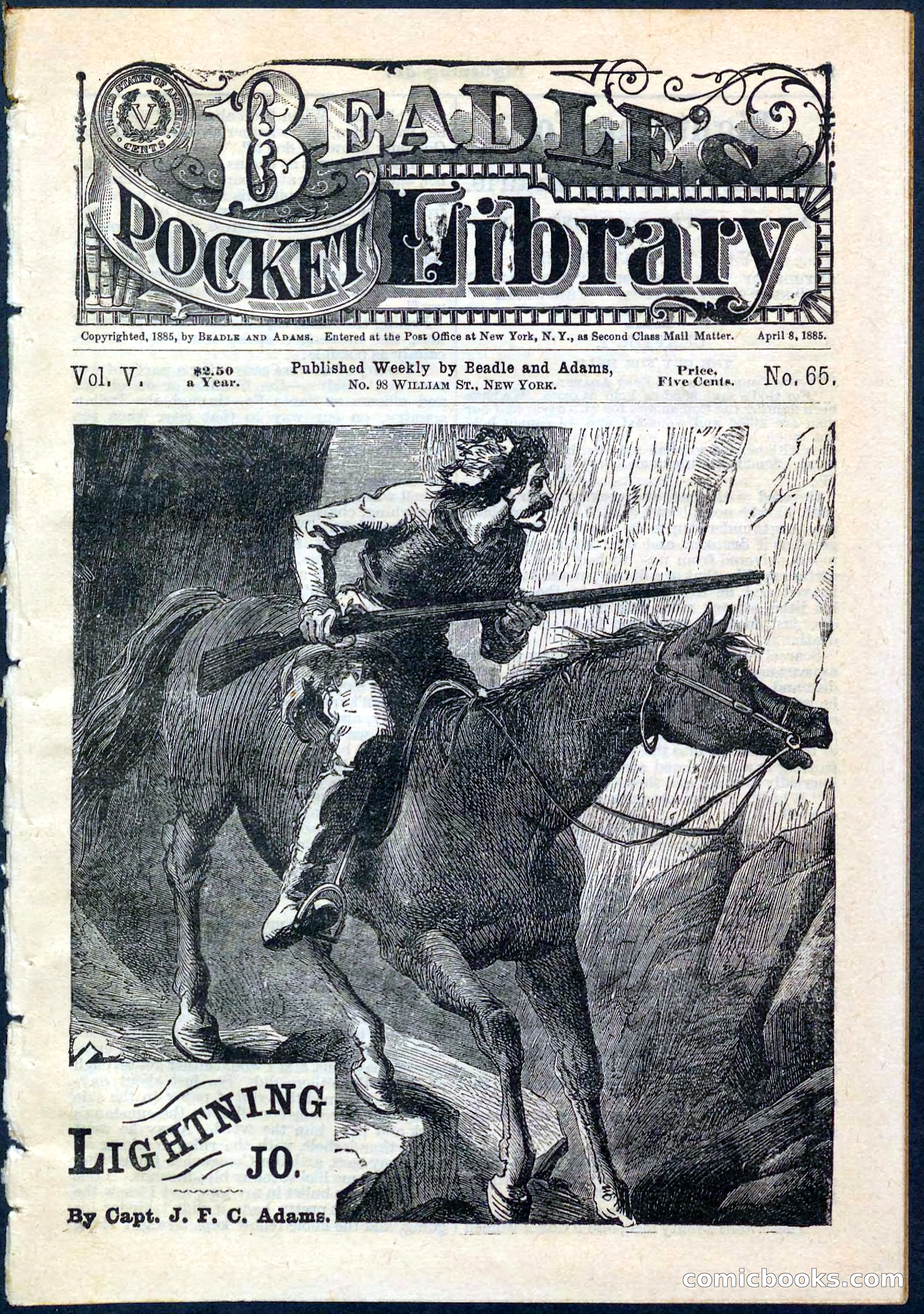 Beadle's Pocket Library No. 65