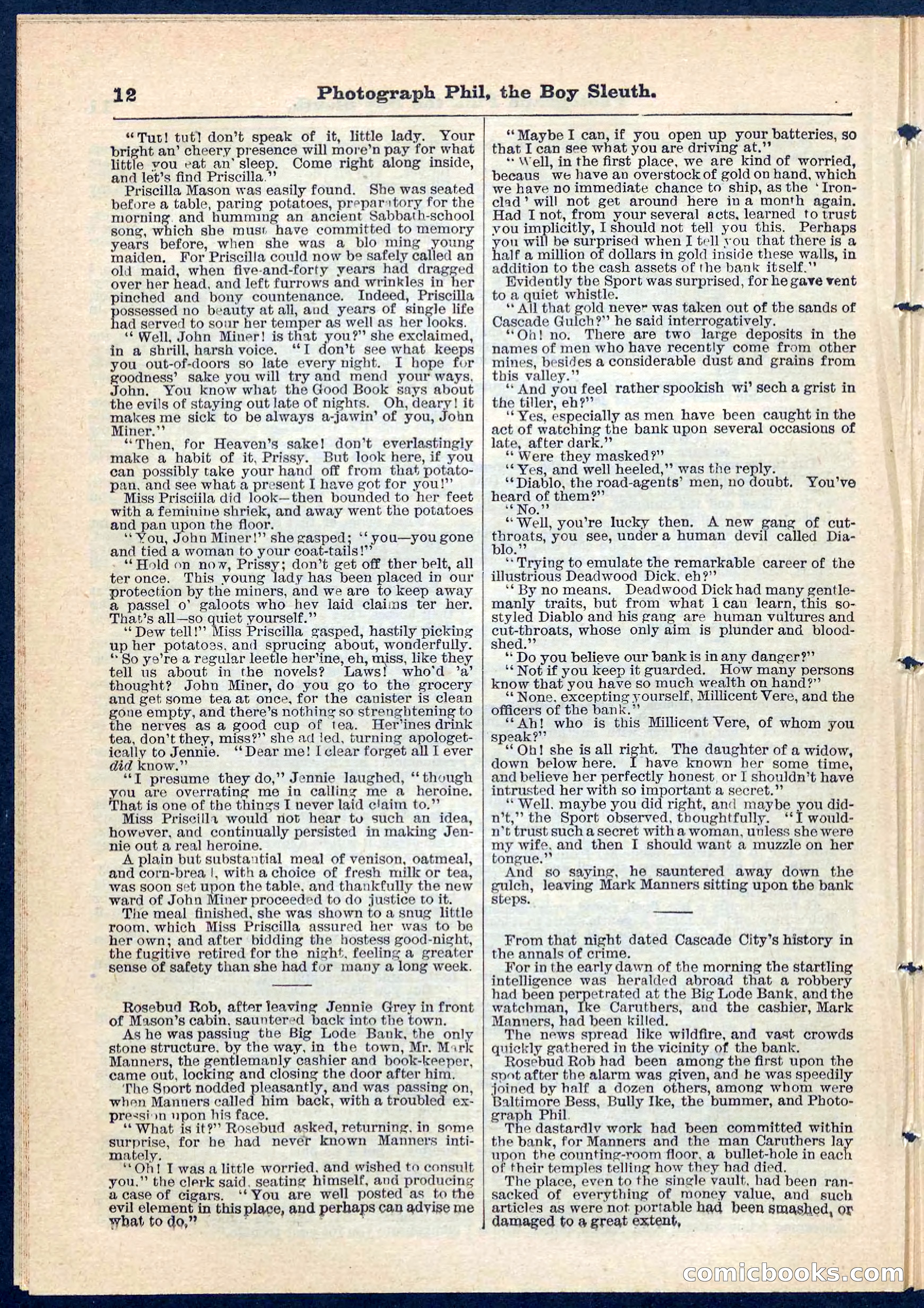 Beadle's Pocket Library No. 73 — page 12 of 32