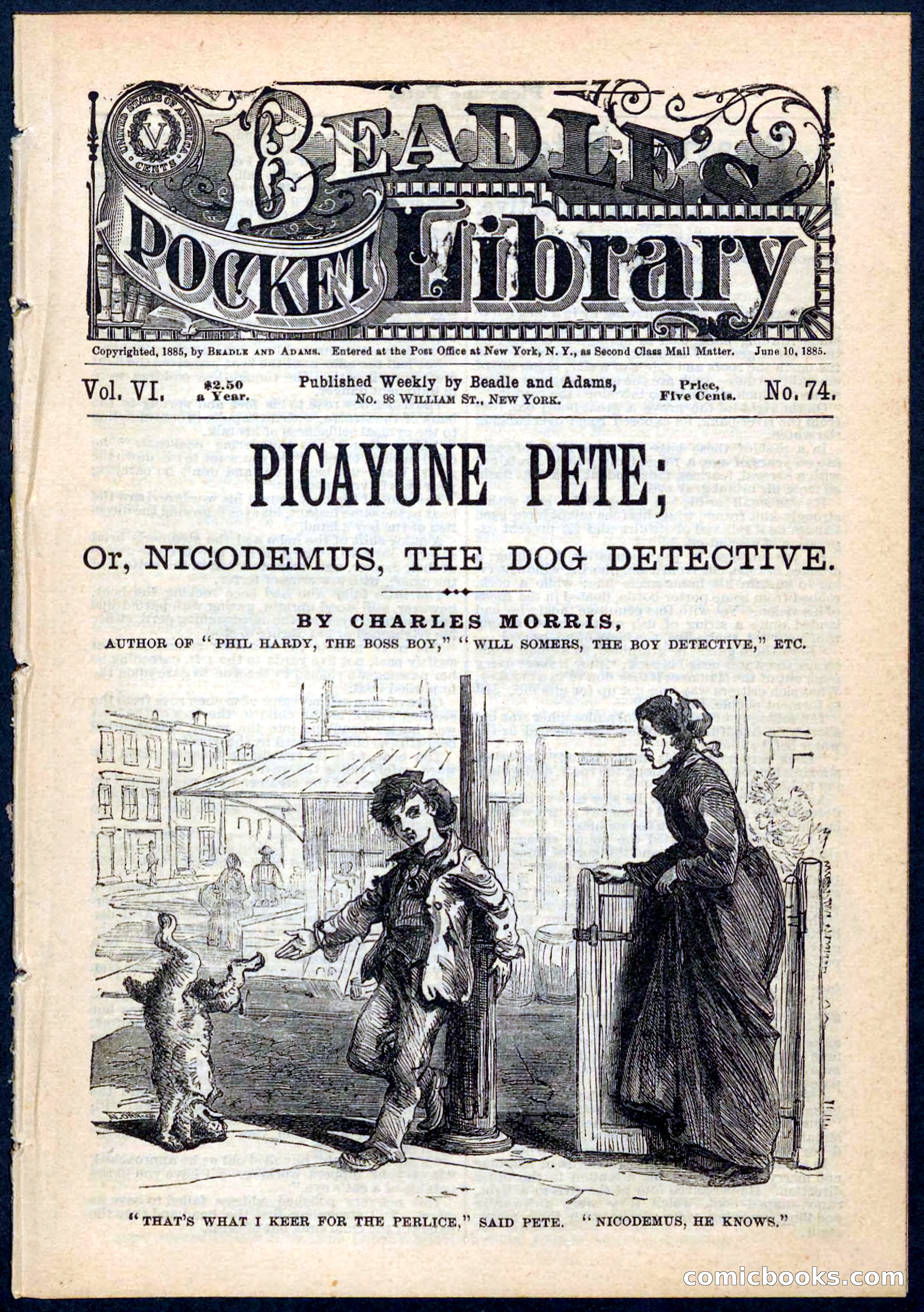 Beadle's Pocket Library No. 74