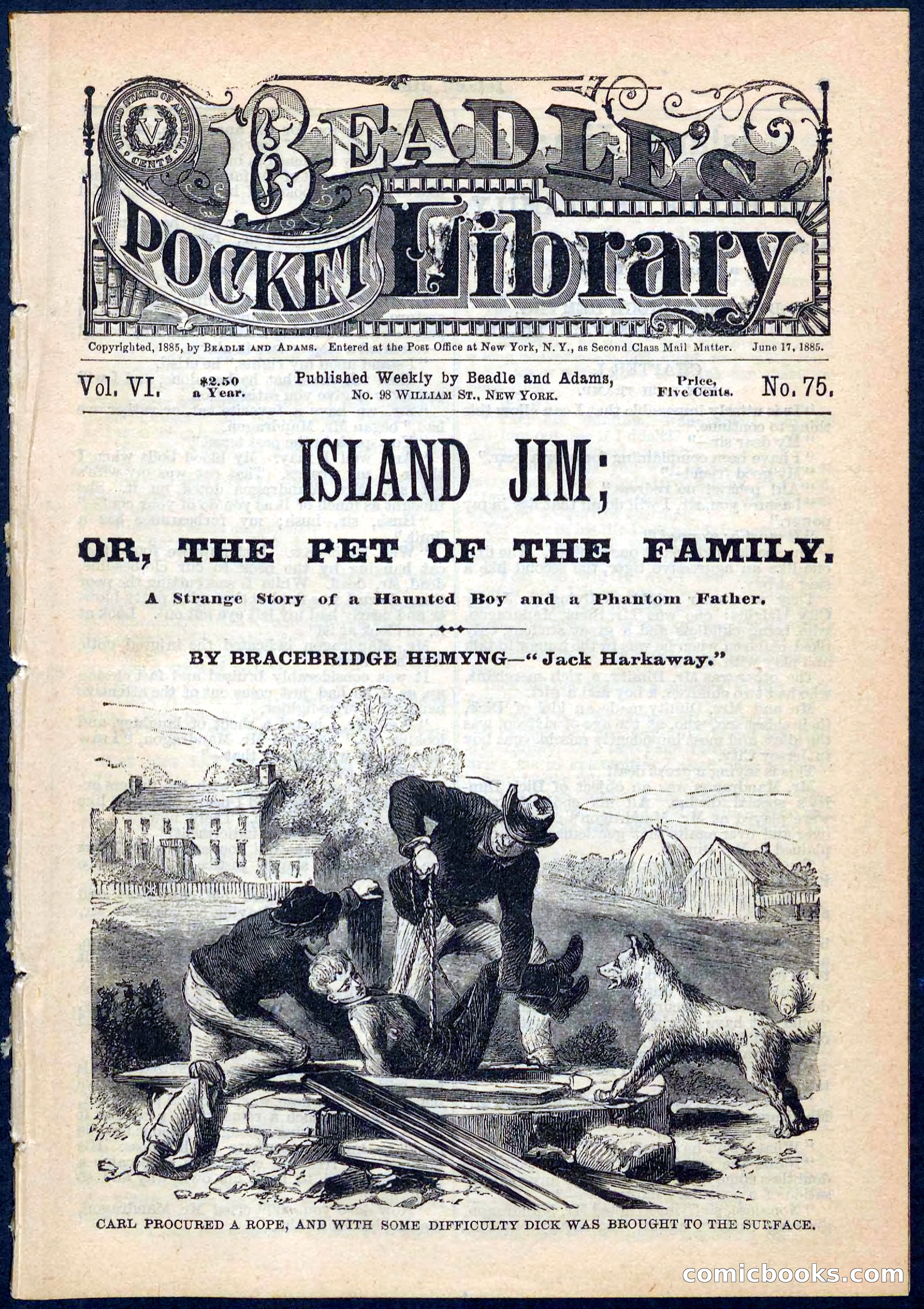 Island Jim; or, The Pet of the Family