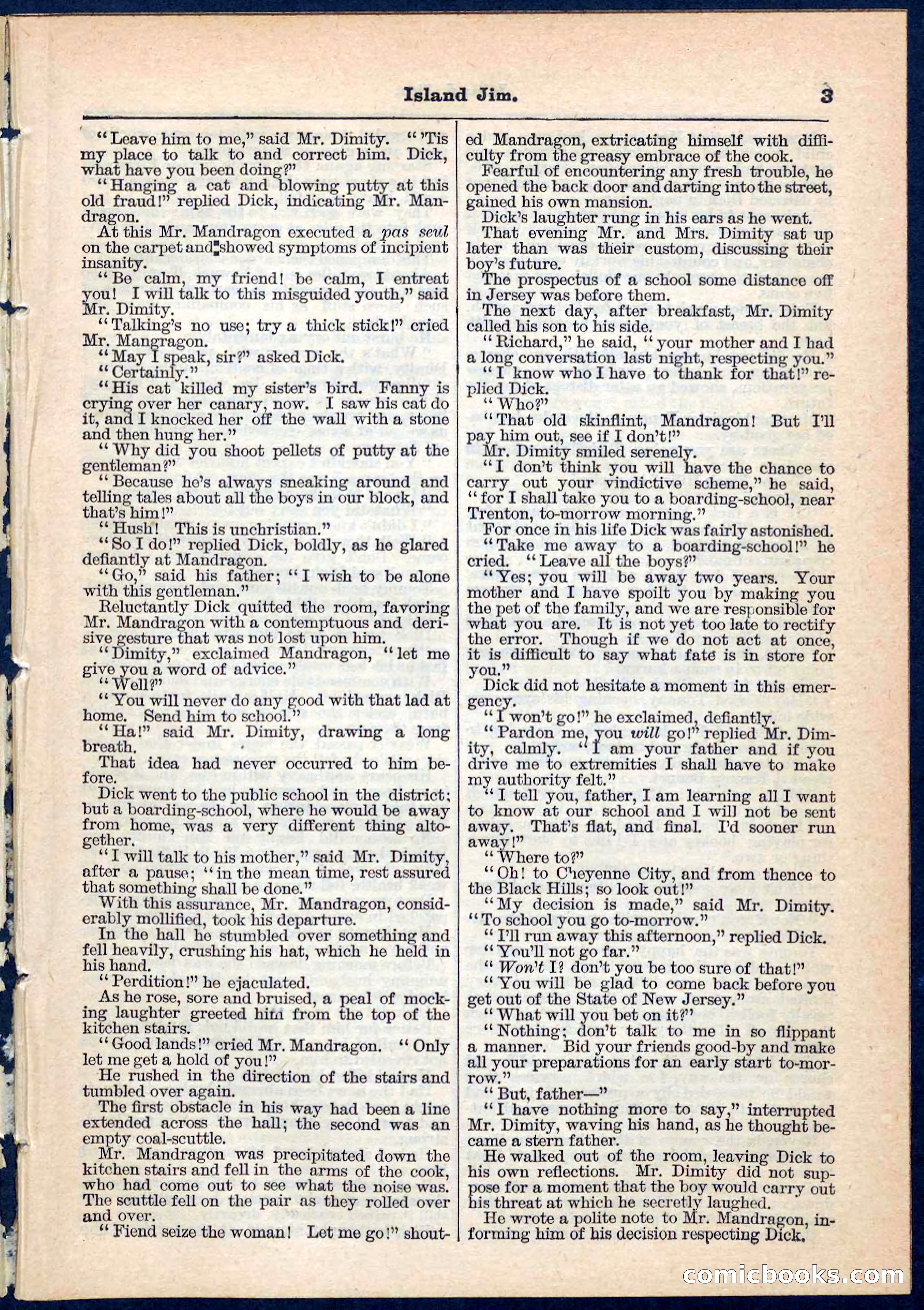 Island Jim; or, The Pet of the Family — page 3 of 32