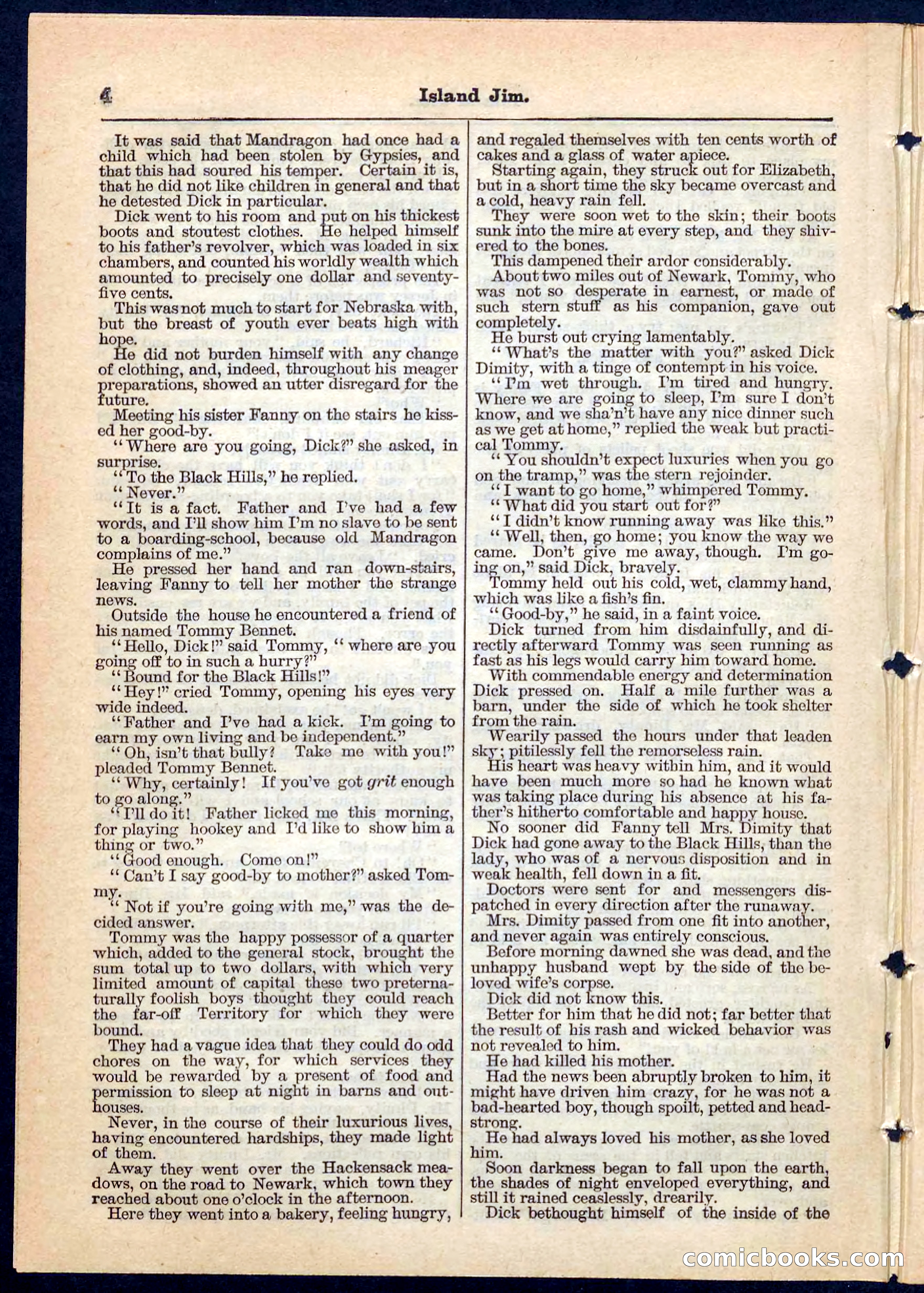 Island Jim; or, The Pet of the Family — page 4 of 32