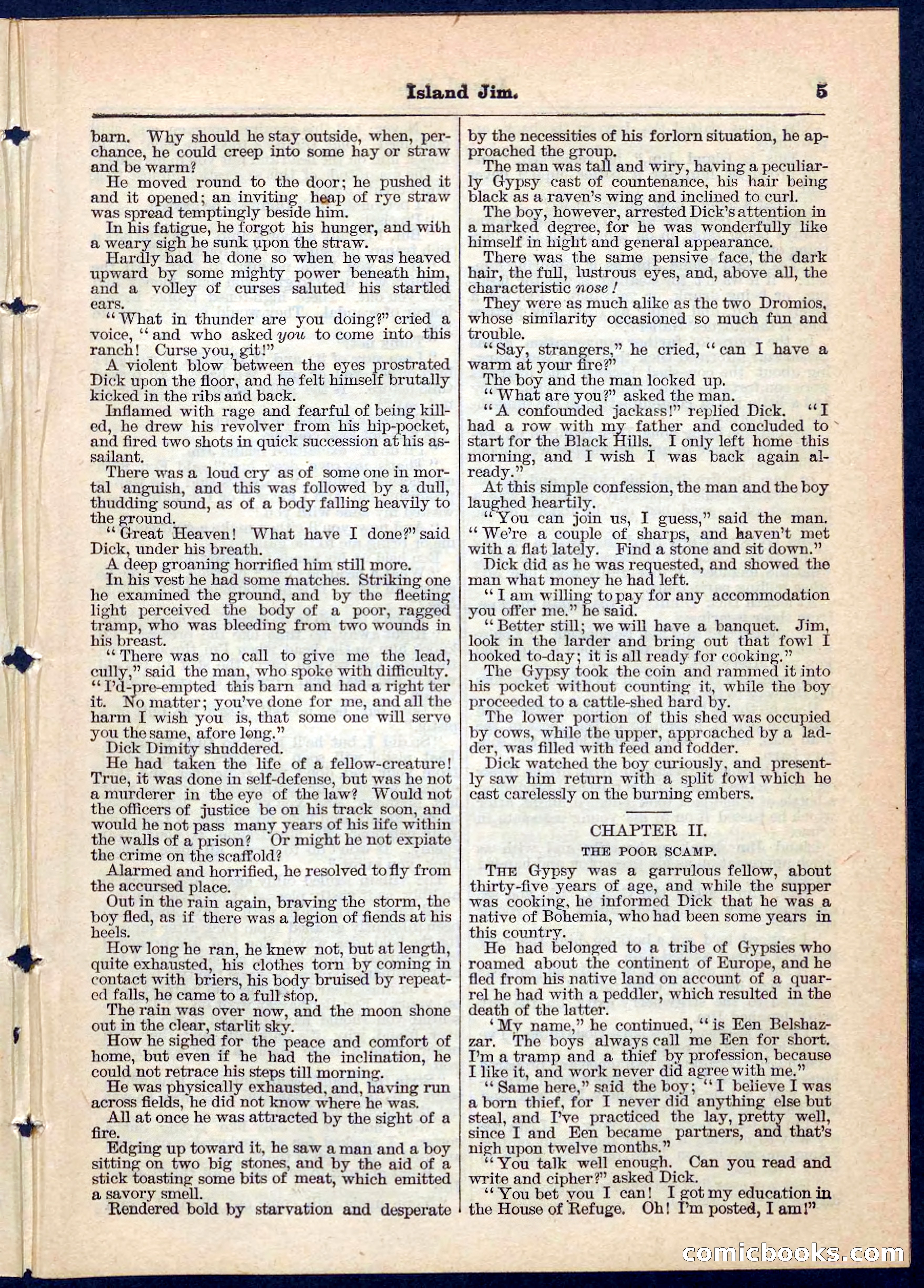 Island Jim; or, The Pet of the Family — page 5 of 32