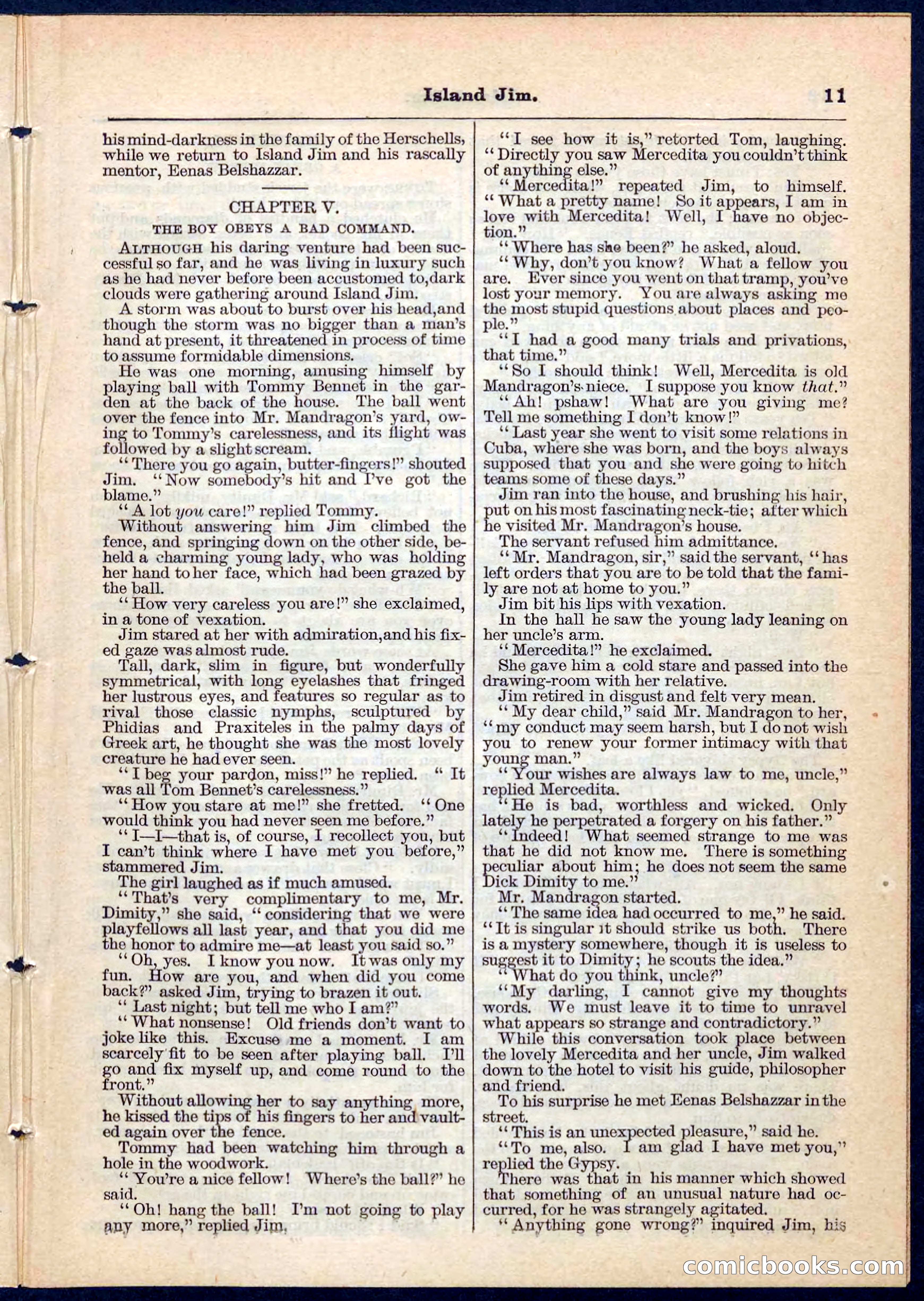Island Jim; or, The Pet of the Family — page 11 of 32