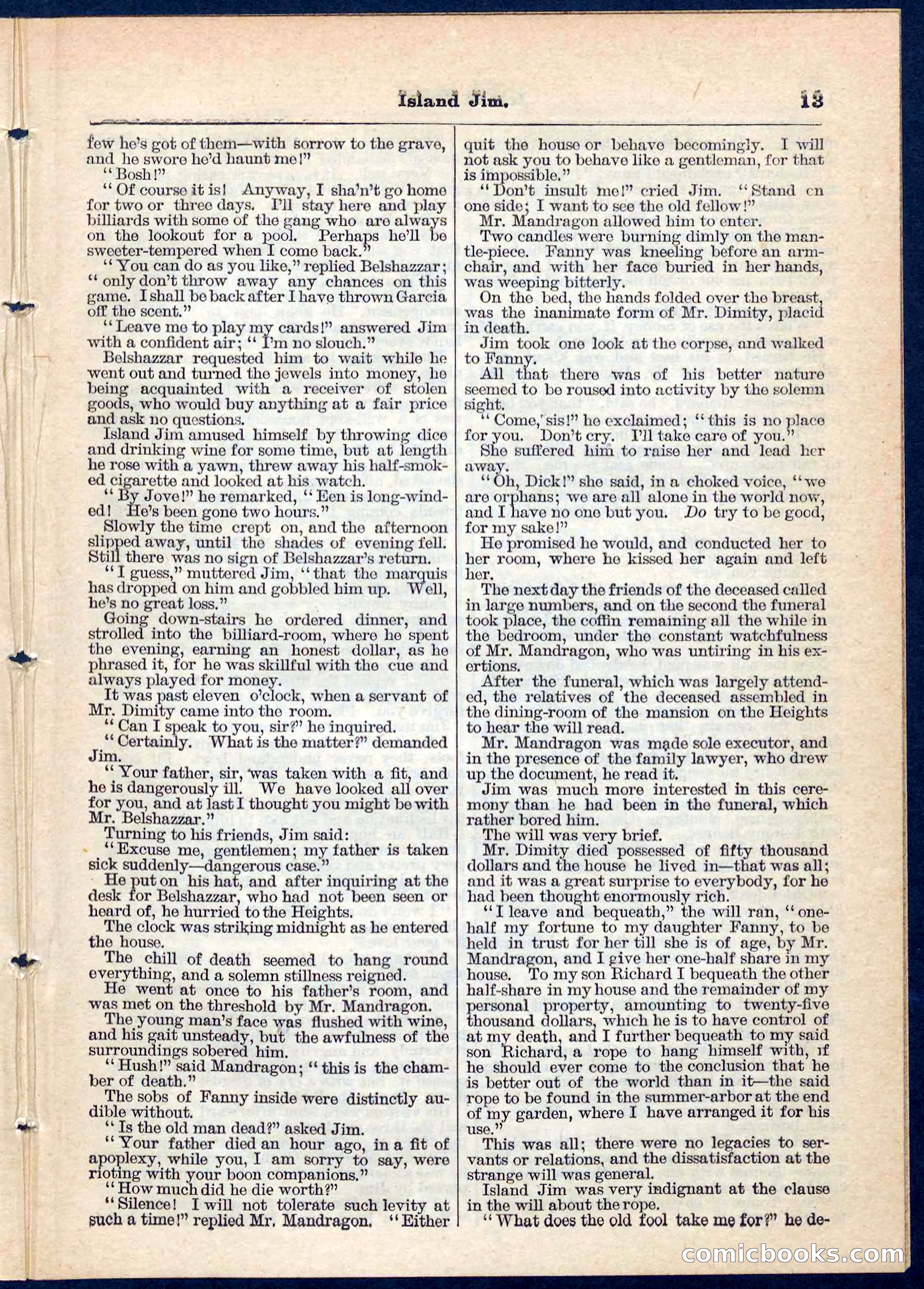 Island Jim; or, The Pet of the Family — page 13 of 32