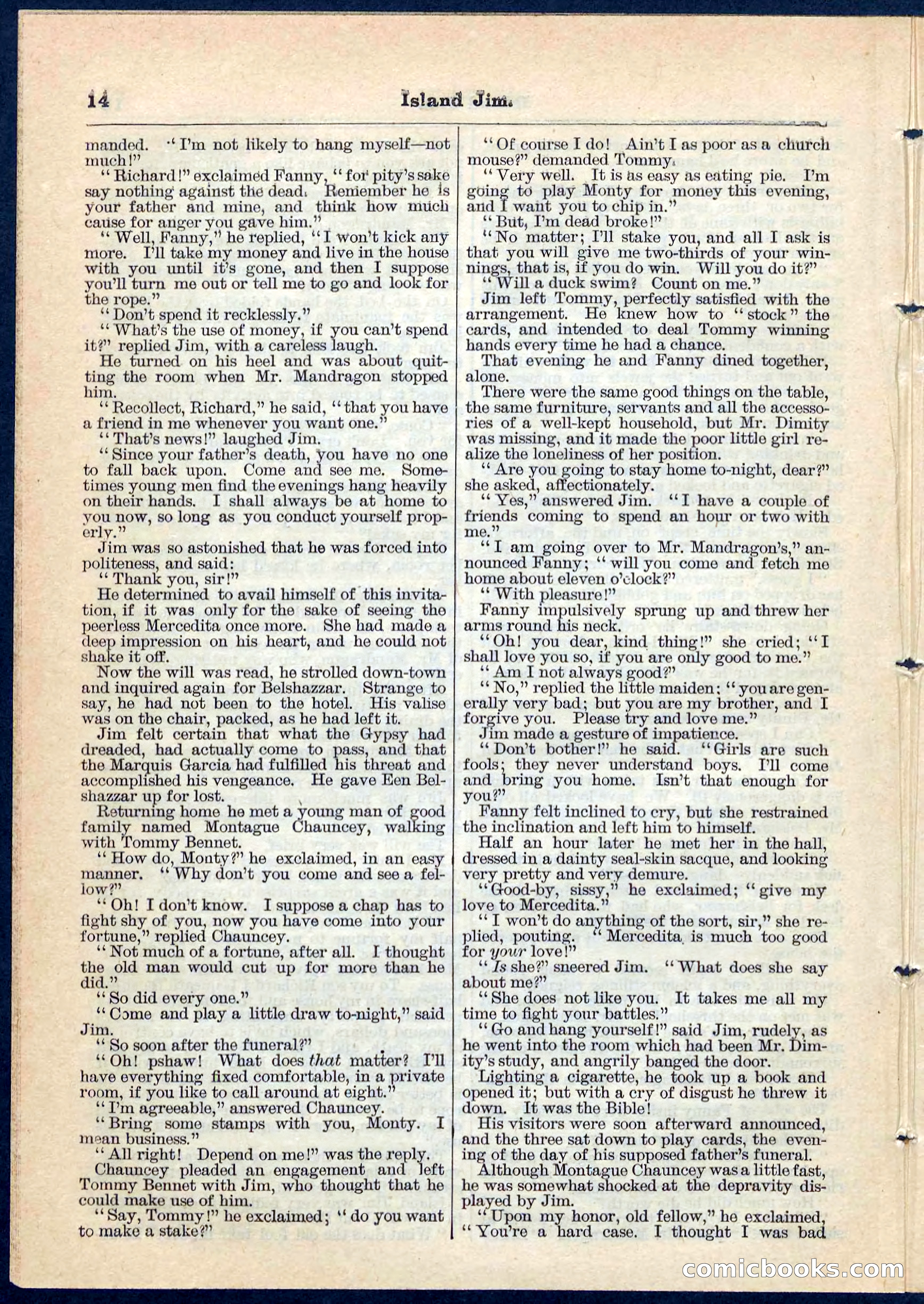 Island Jim; or, The Pet of the Family — page 14 of 32