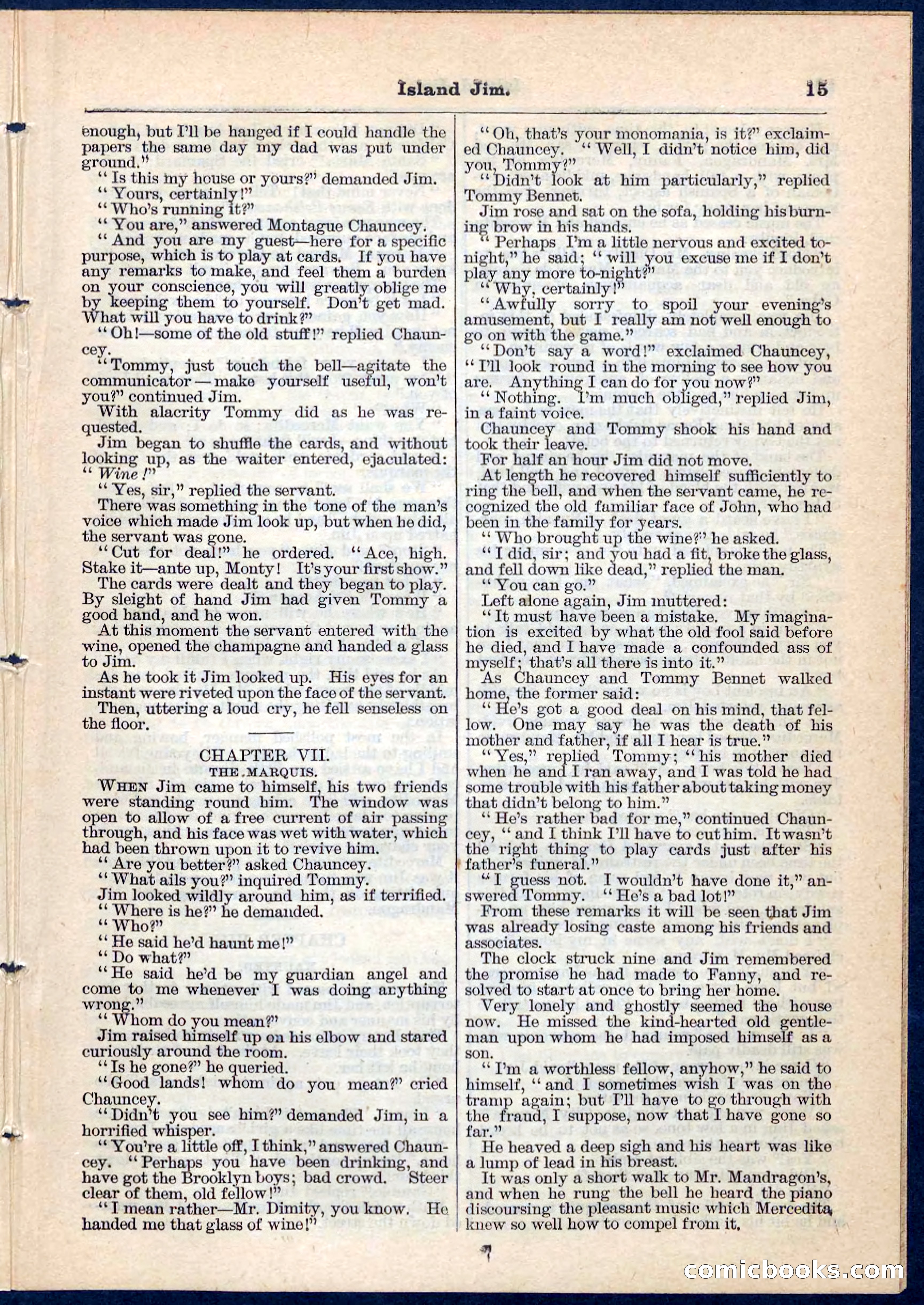 Island Jim; or, The Pet of the Family — page 15 of 32